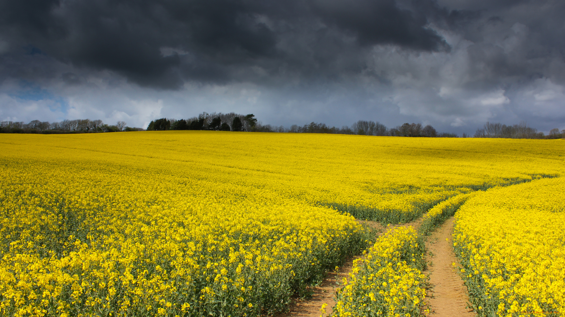 природа, дороги, тракт