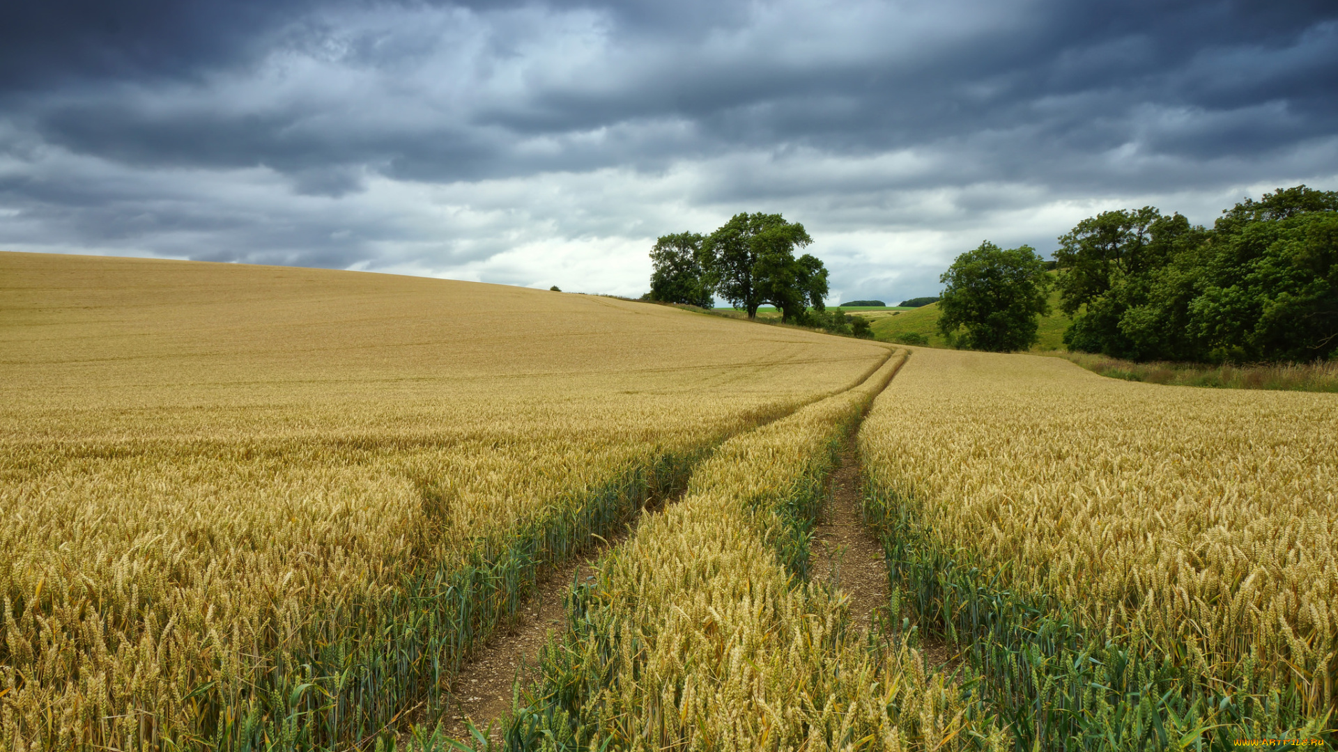 природа, дороги, тракт
