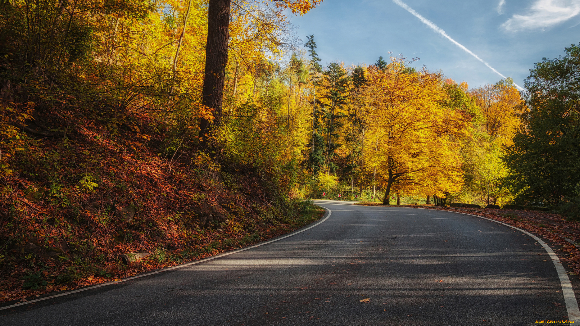 природа, дороги, тракт