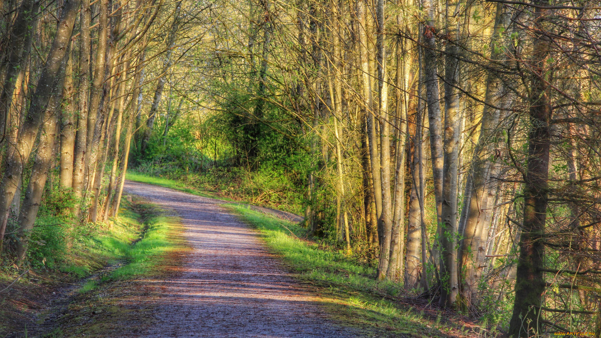 природа, дороги, тракт