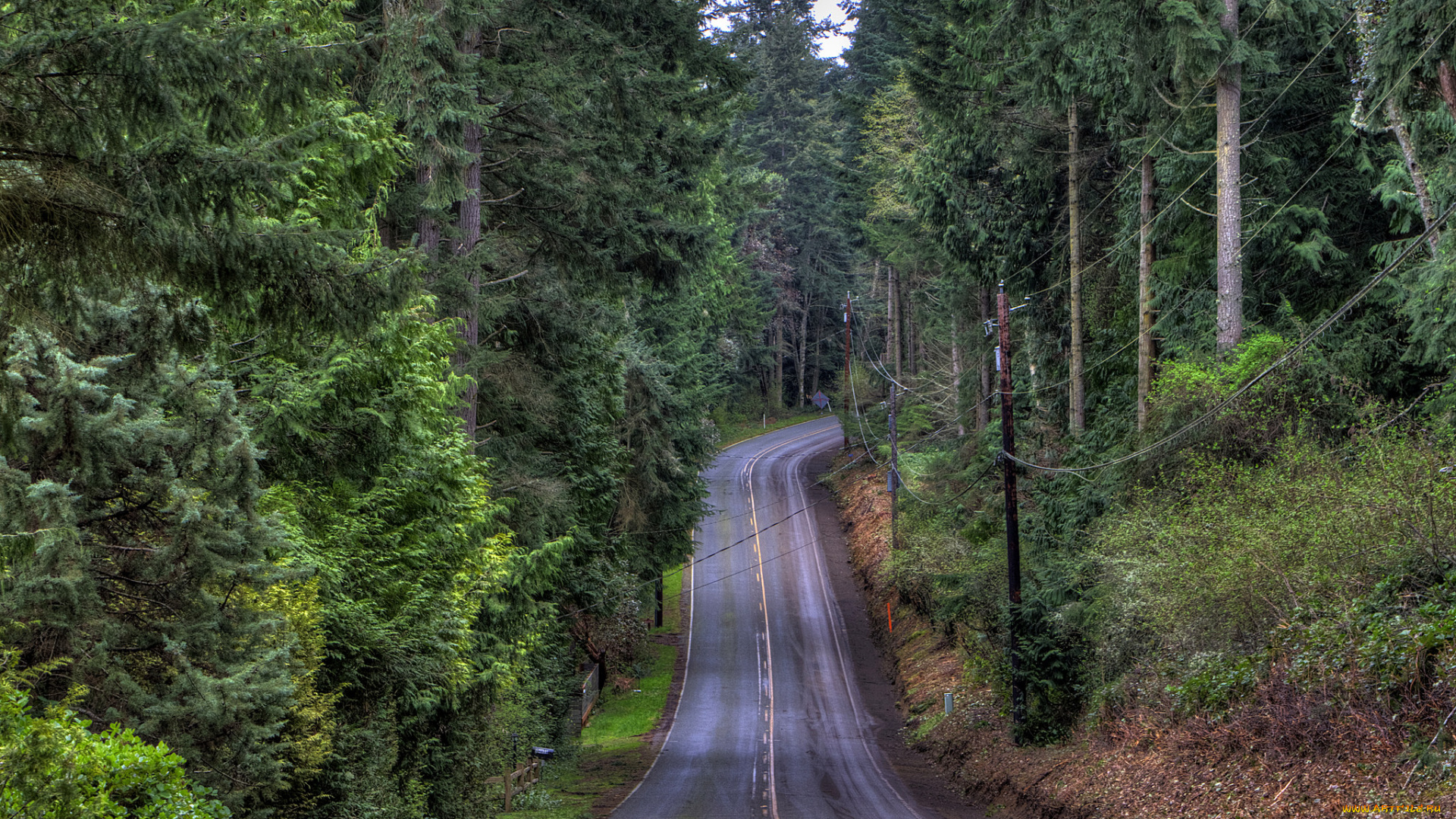 природа, дороги, тракт