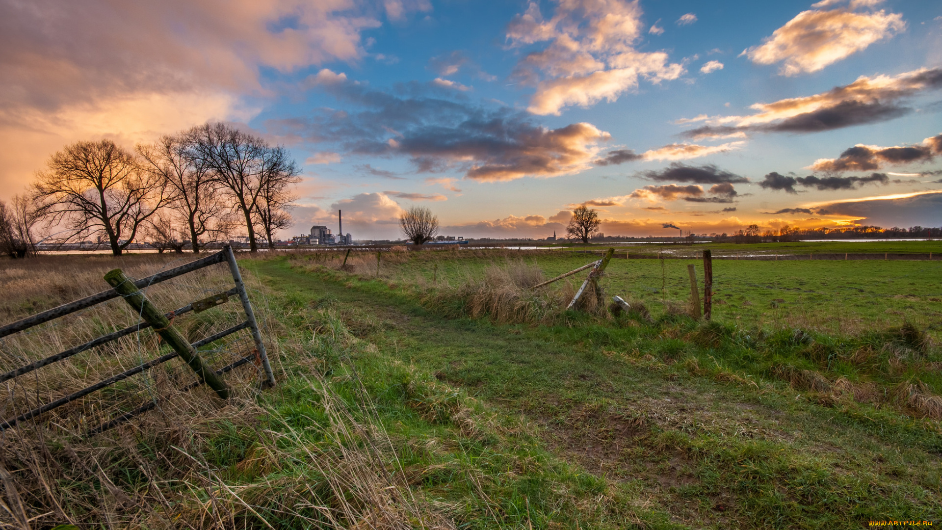 природа, дороги, утро