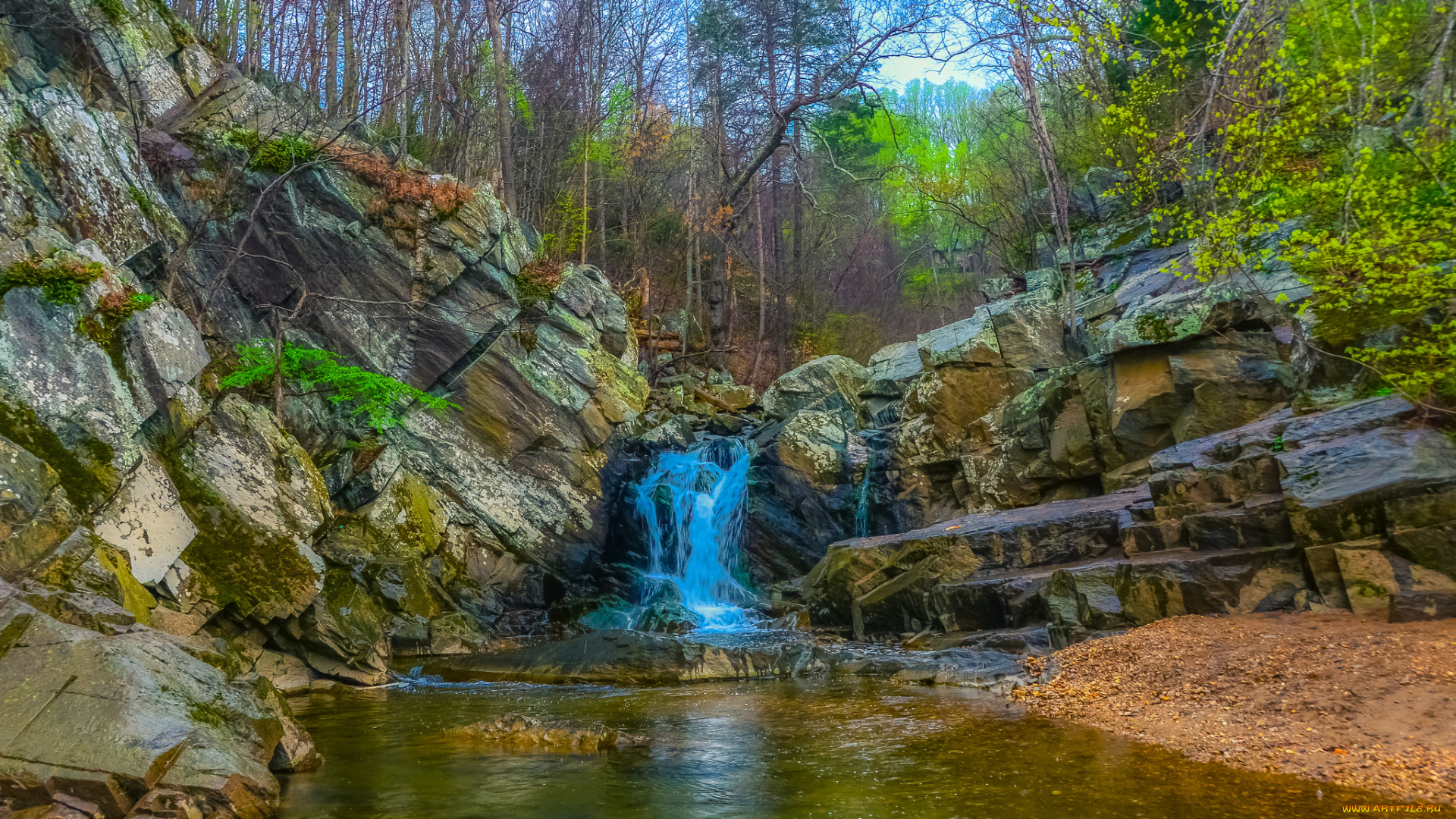 природа, водопады, лес, водопад, река