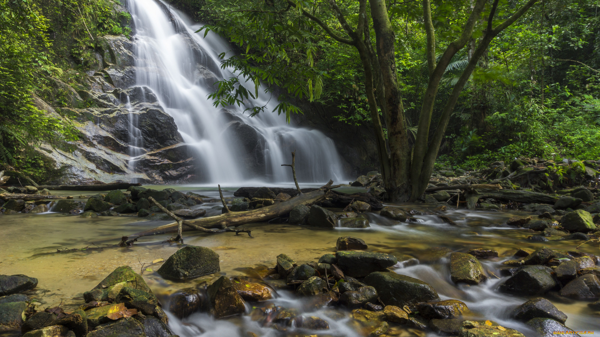 природа, водопады, водопад, река, лес