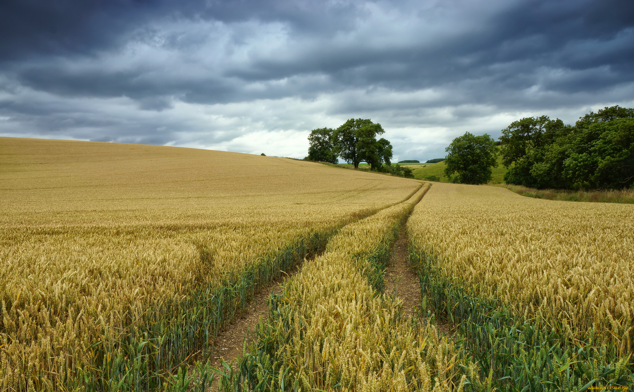 природа, дороги, тракт