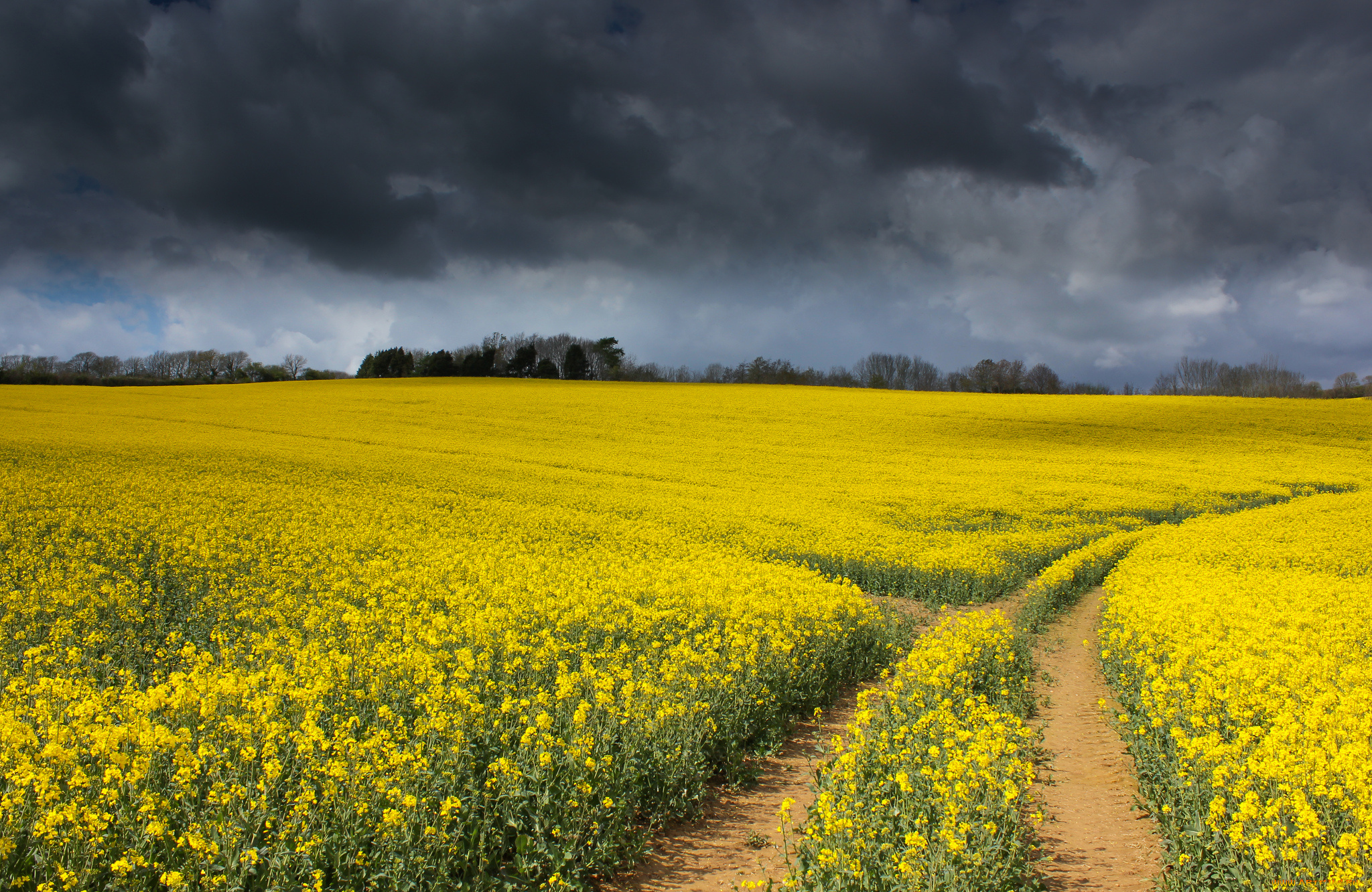 природа, дороги, тракт