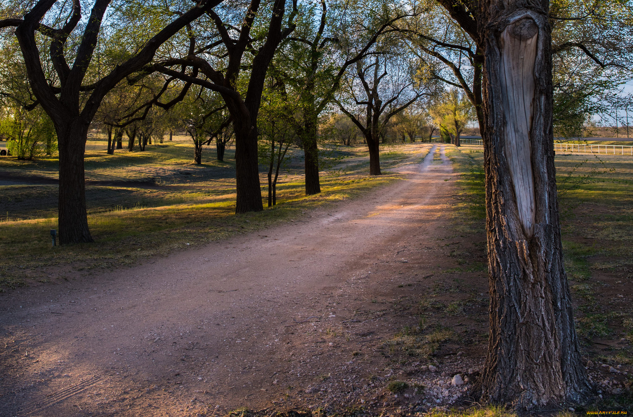 природа, дороги, тракт