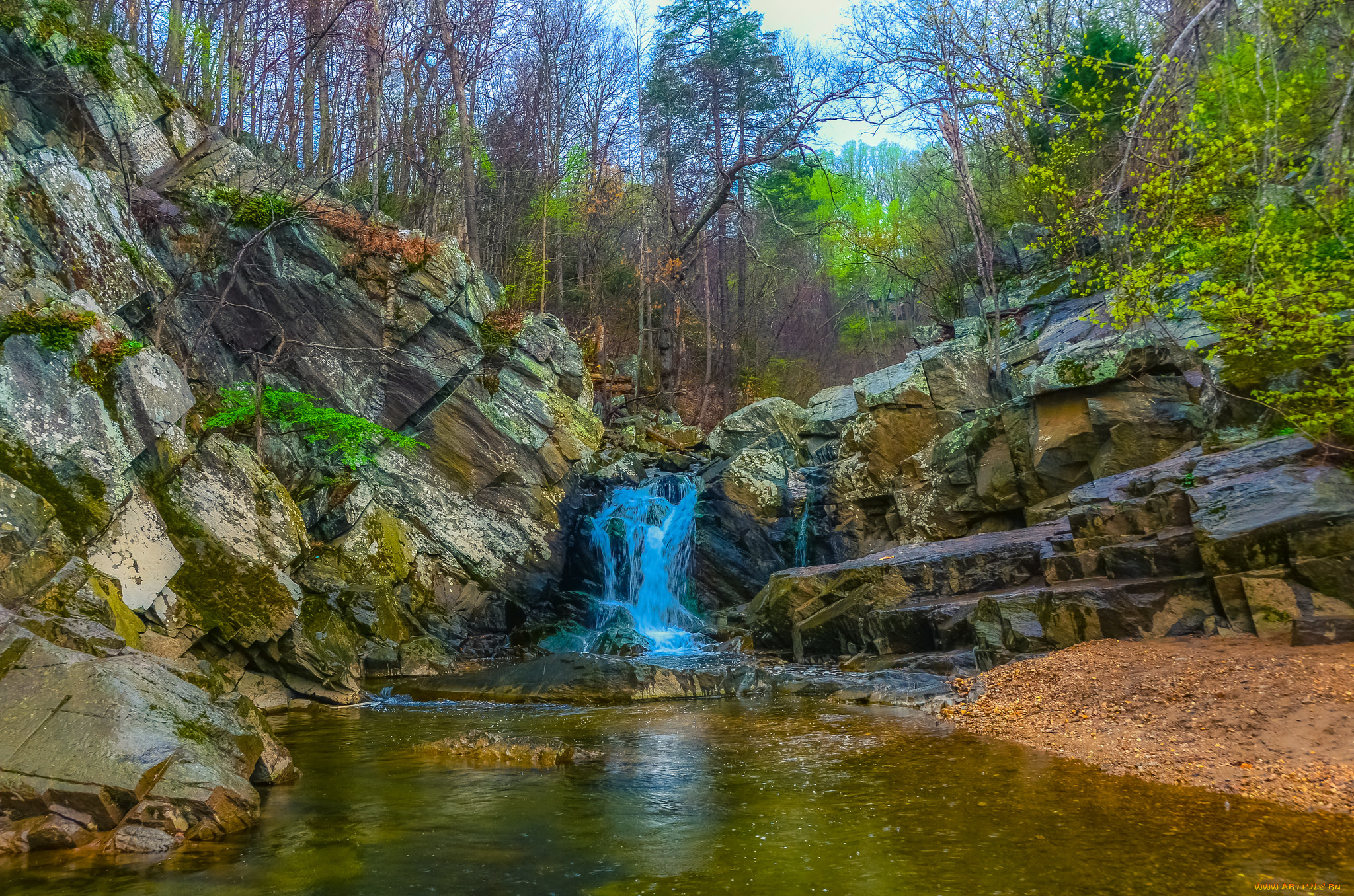 природа, водопады, лес, водопад, река