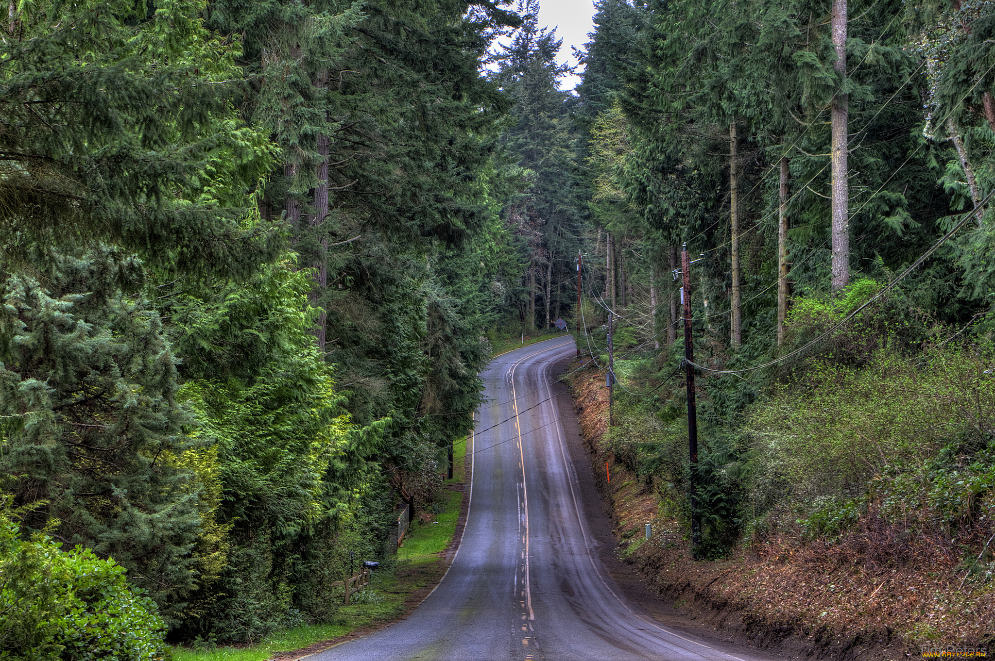 природа, дороги, тракт