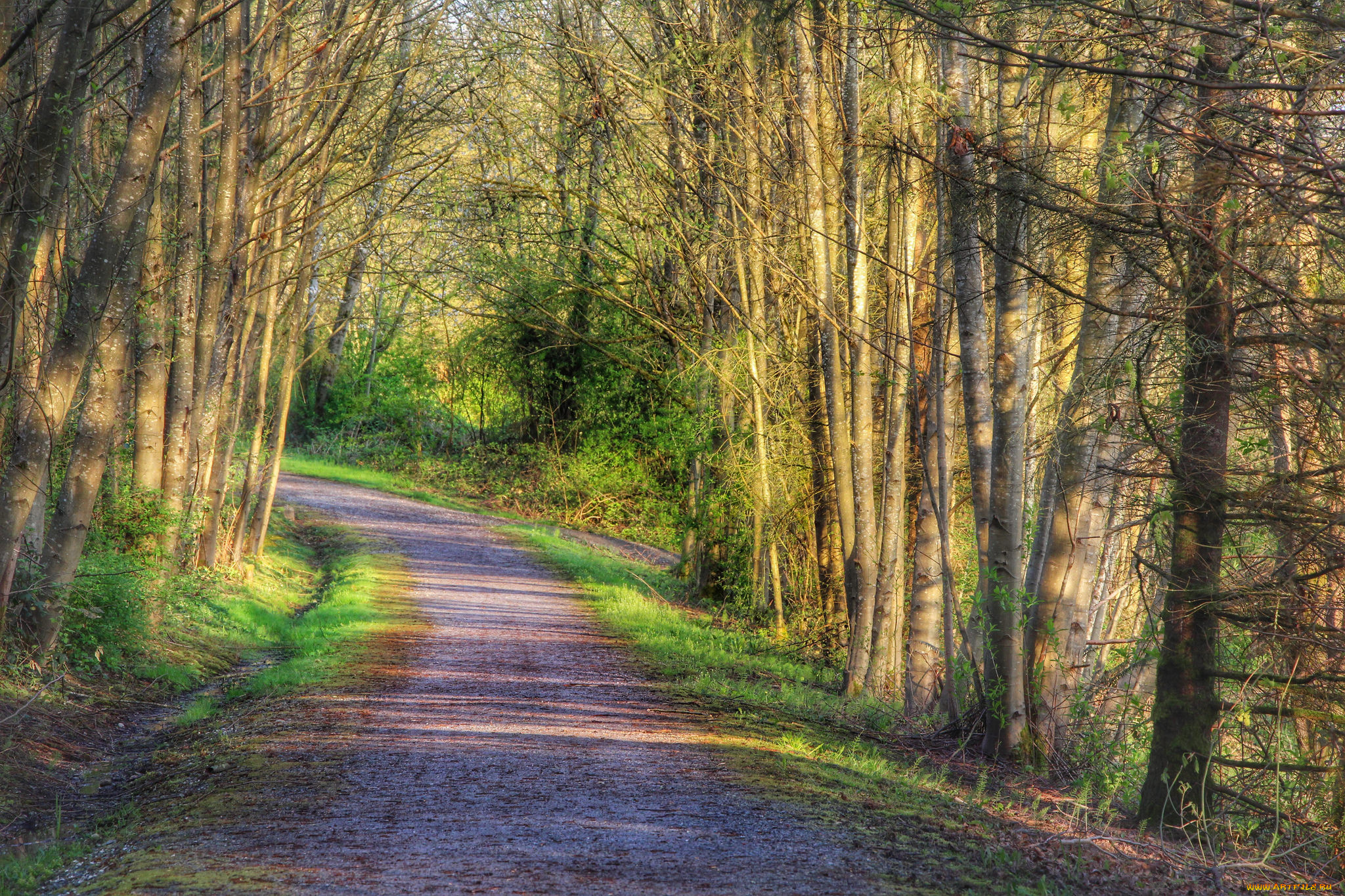 природа, дороги, тракт