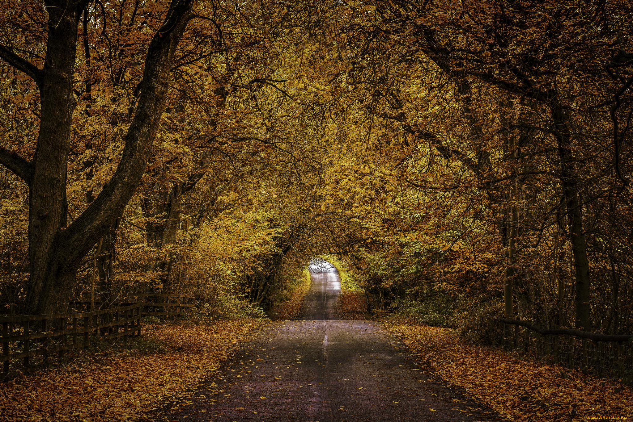 природа, дороги, тракт