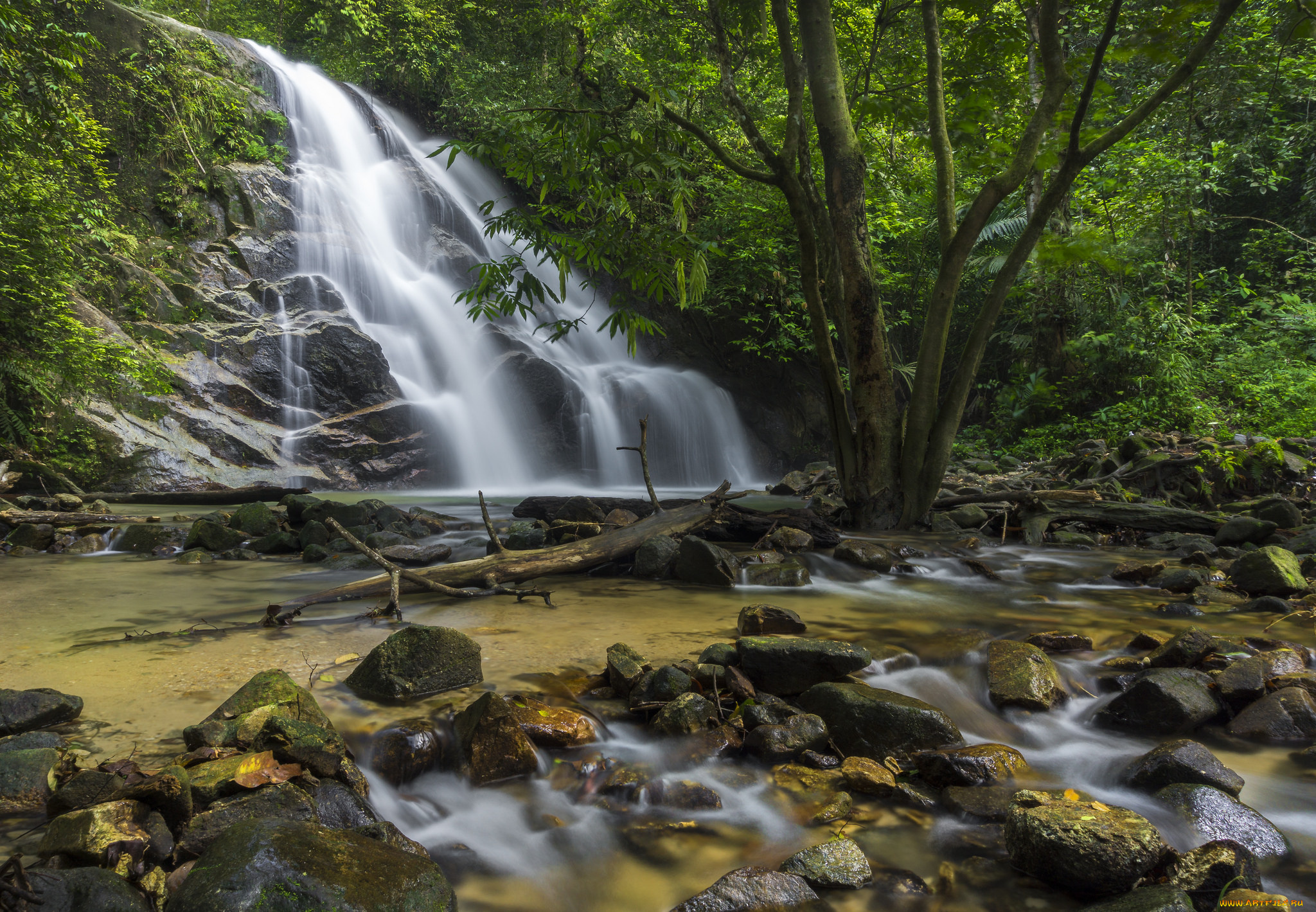 природа, водопады, водопад, река, лес