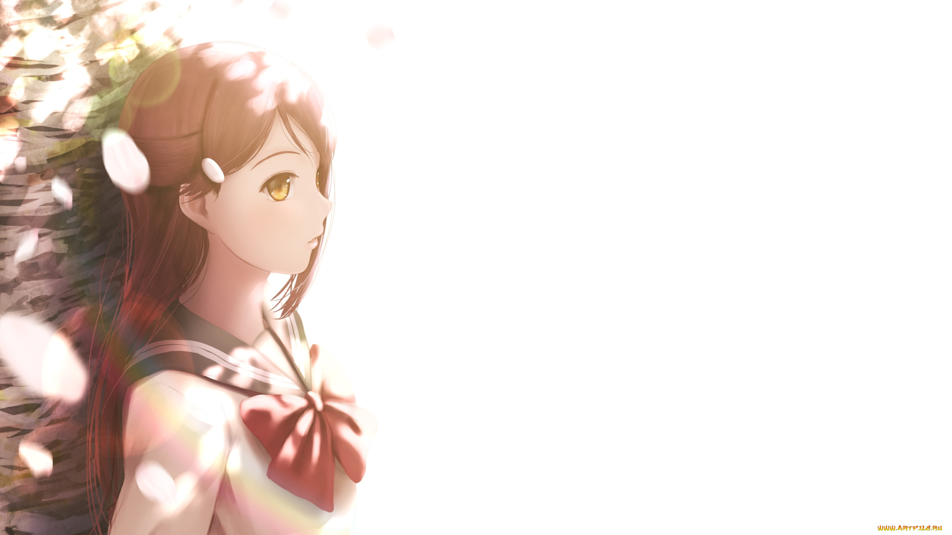 аниме, love, live, , school, idol, project, sakurauchi, riko