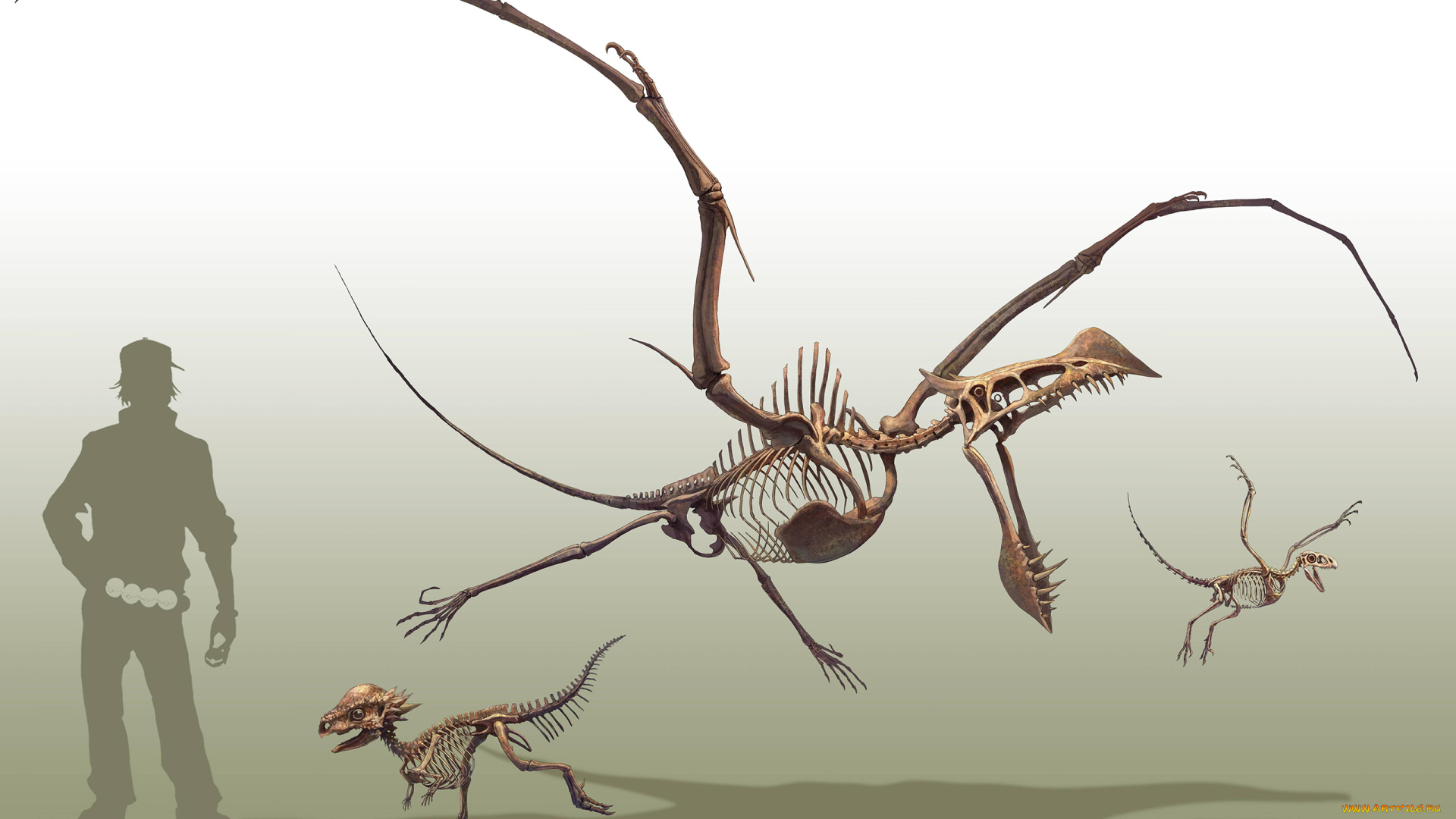 аниме, pokemon, чудище, существо, чудовище, монстр