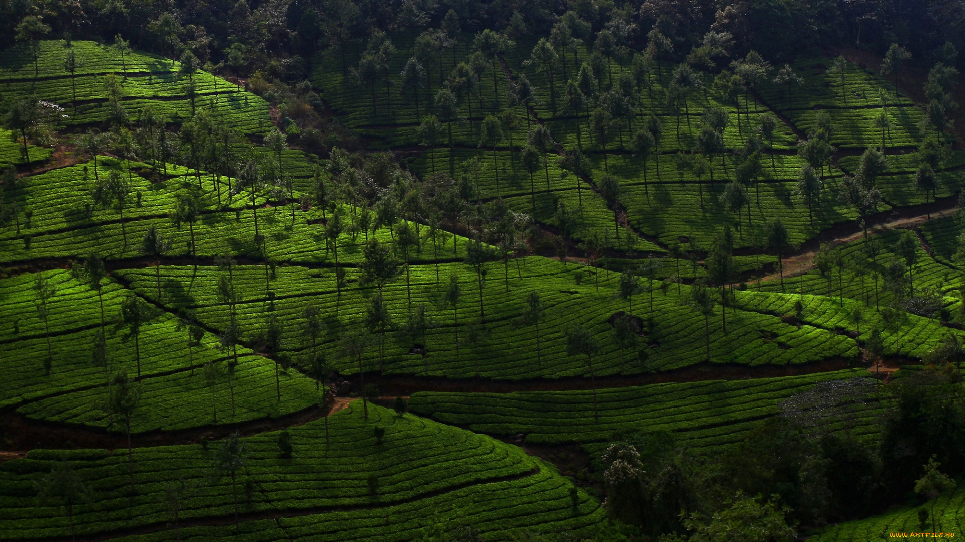 природа, пейзажи, без, комментарий