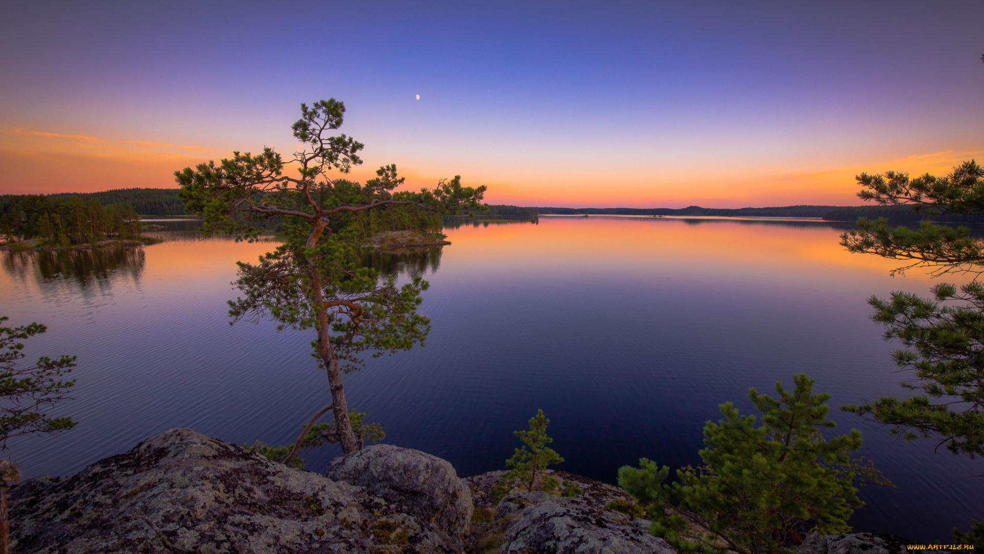 природа, реки, озера, лес, река