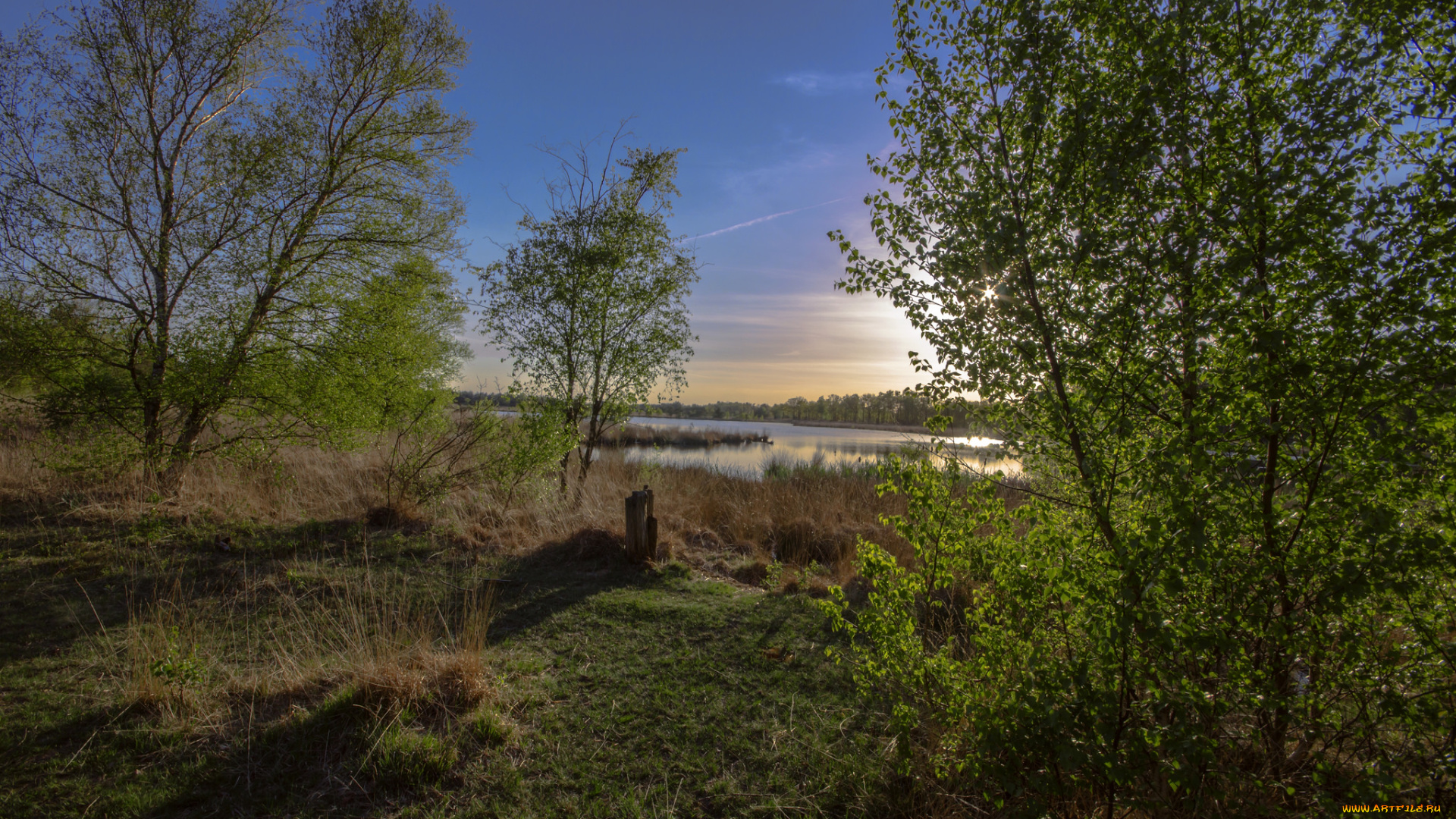 природа, реки, озера, река, лес