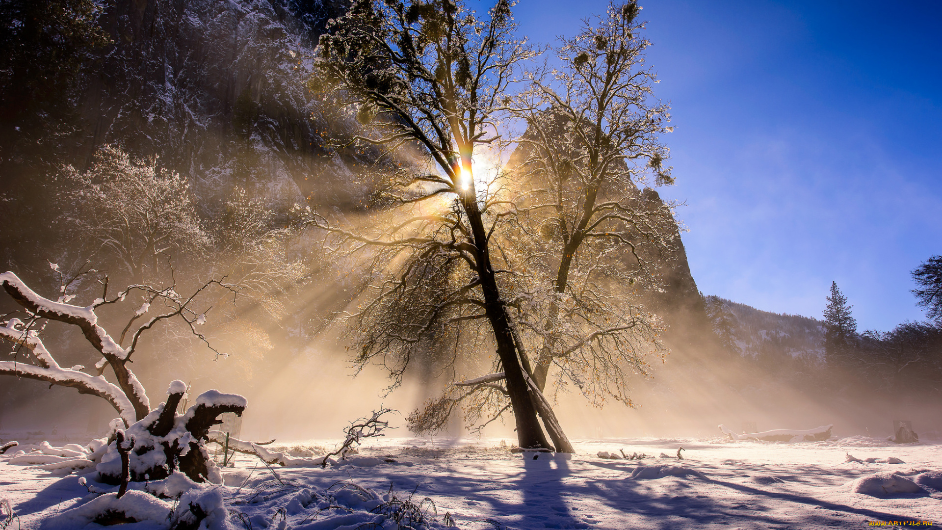 природа, зима, снег