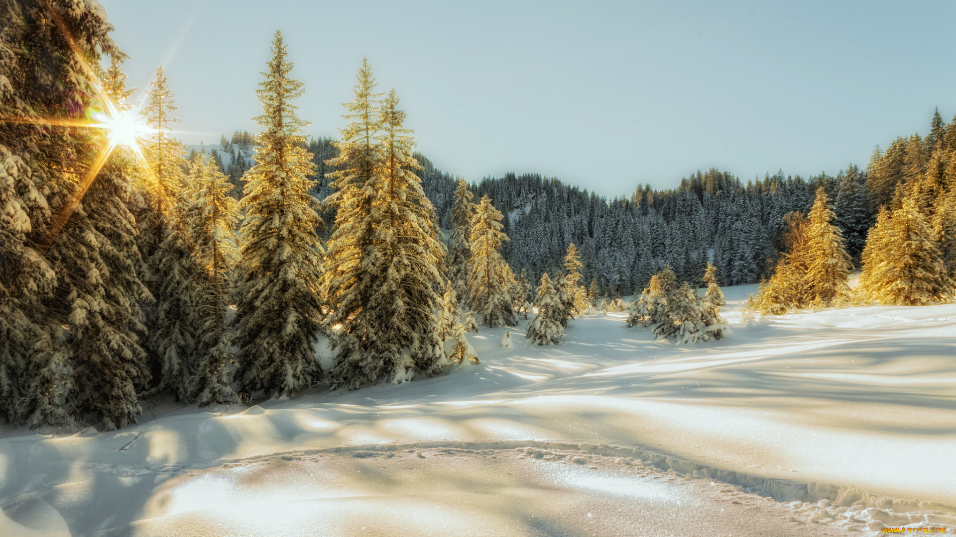 природа, зима, снег