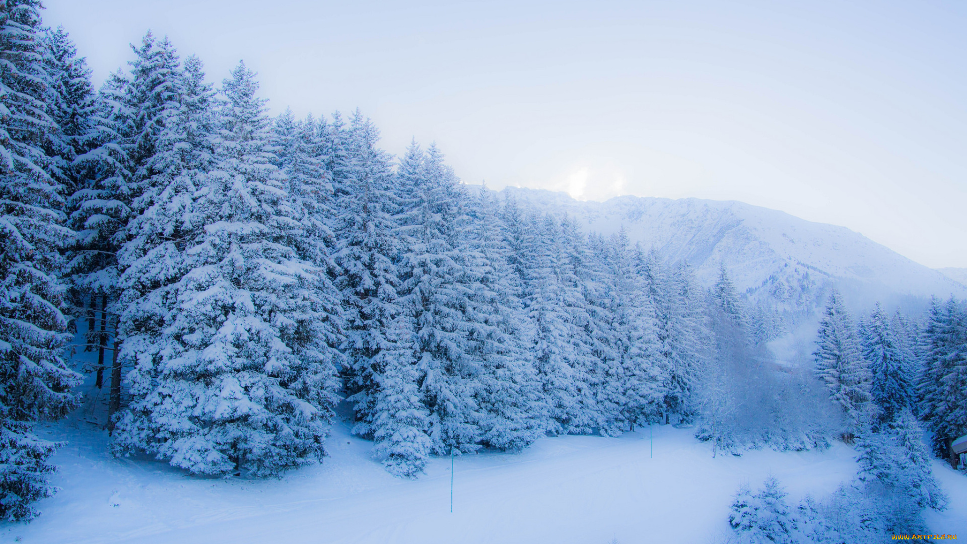 природа, зима, снег