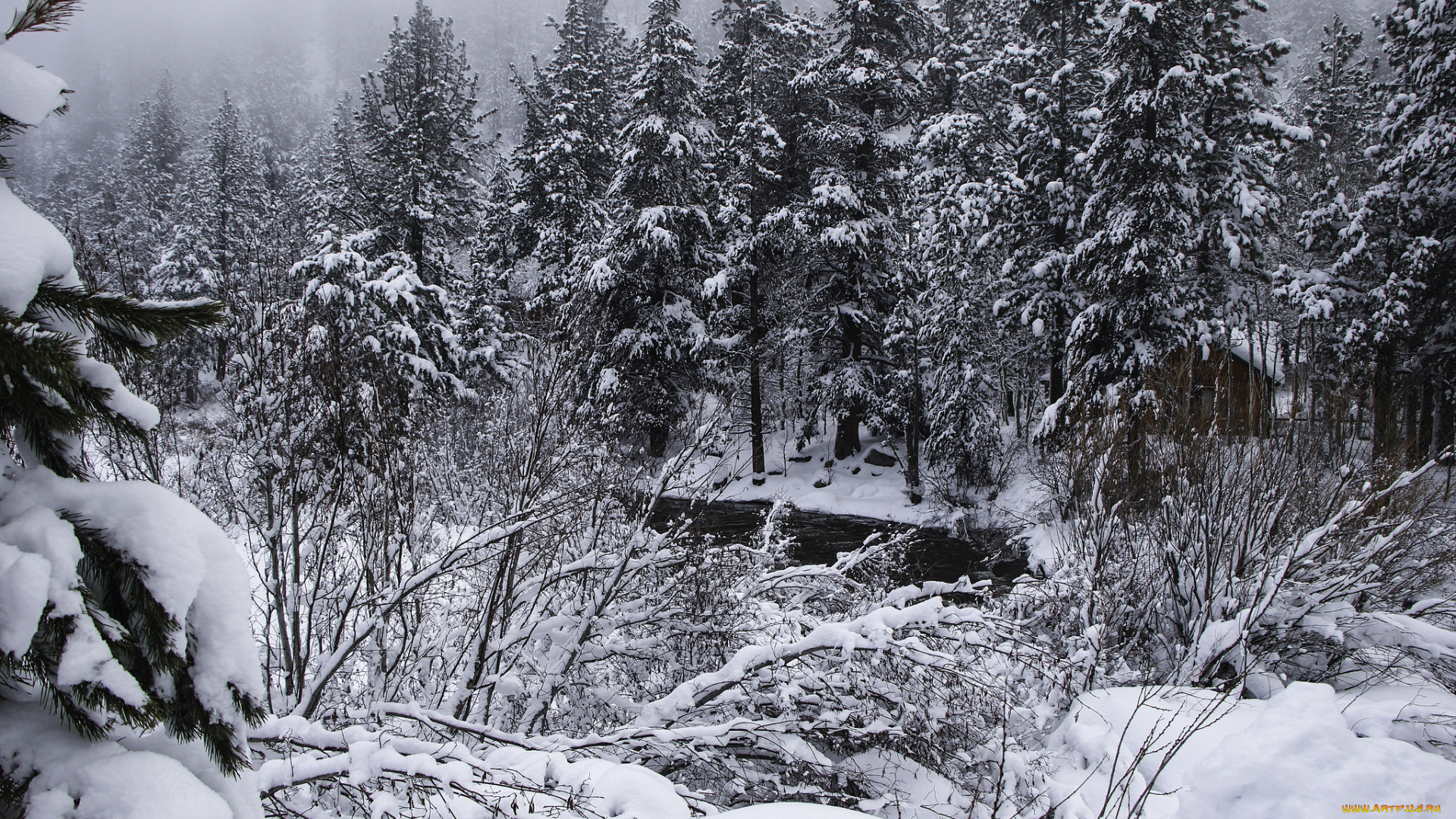 природа, зима, снег