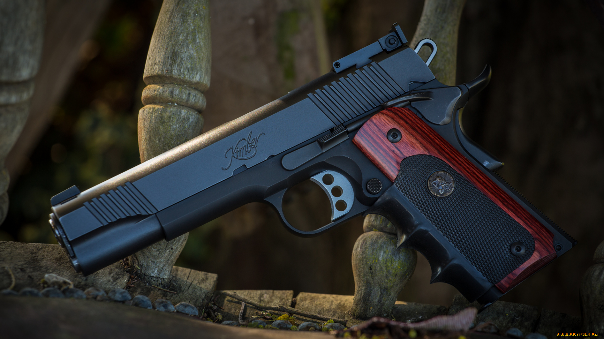 target, ii, оружие, пистолеты, ствол