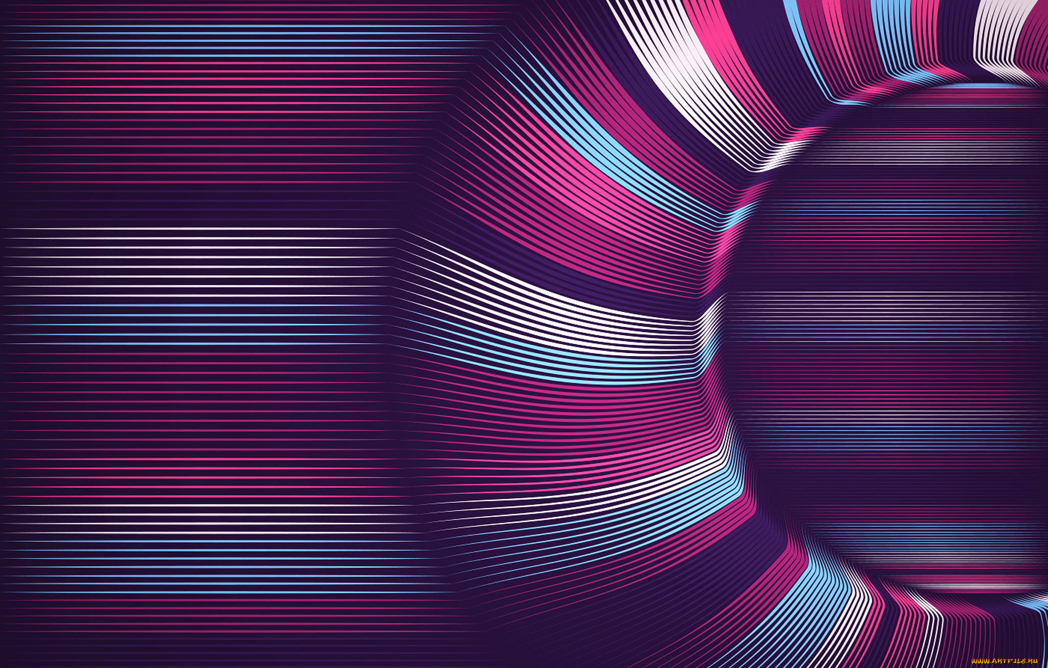 векторная, графика, графика, , graphics, цвета, изгибы, линии, узор, фон