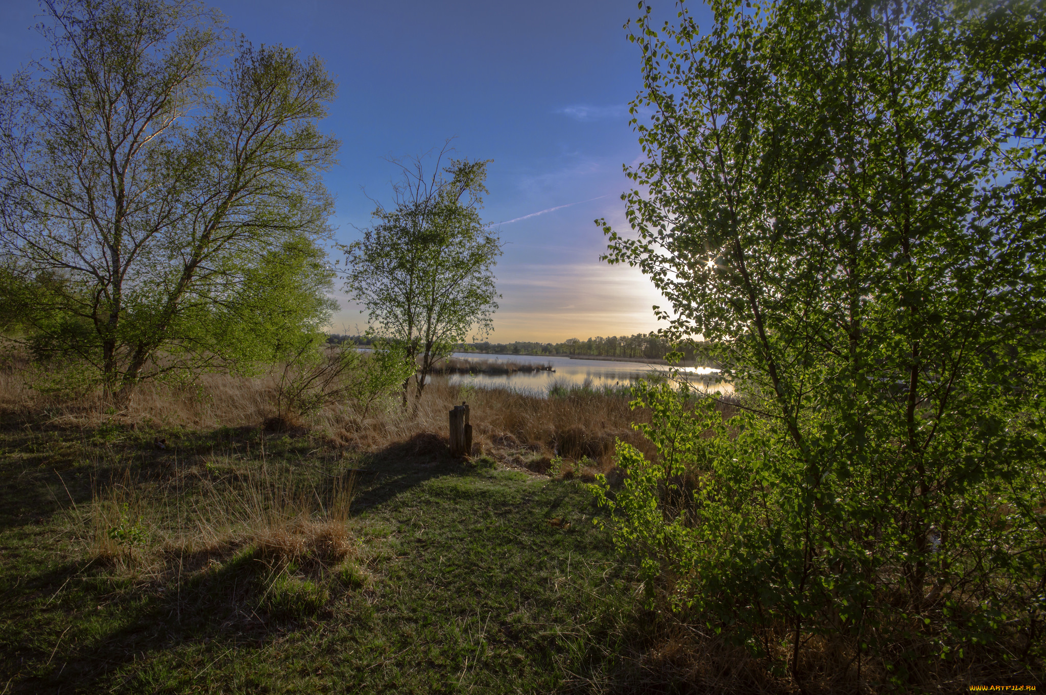 природа, реки, озера, река, лес