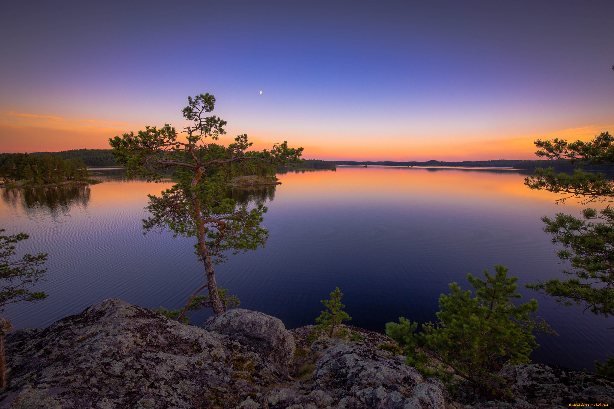 природа, реки, озера, лес, река