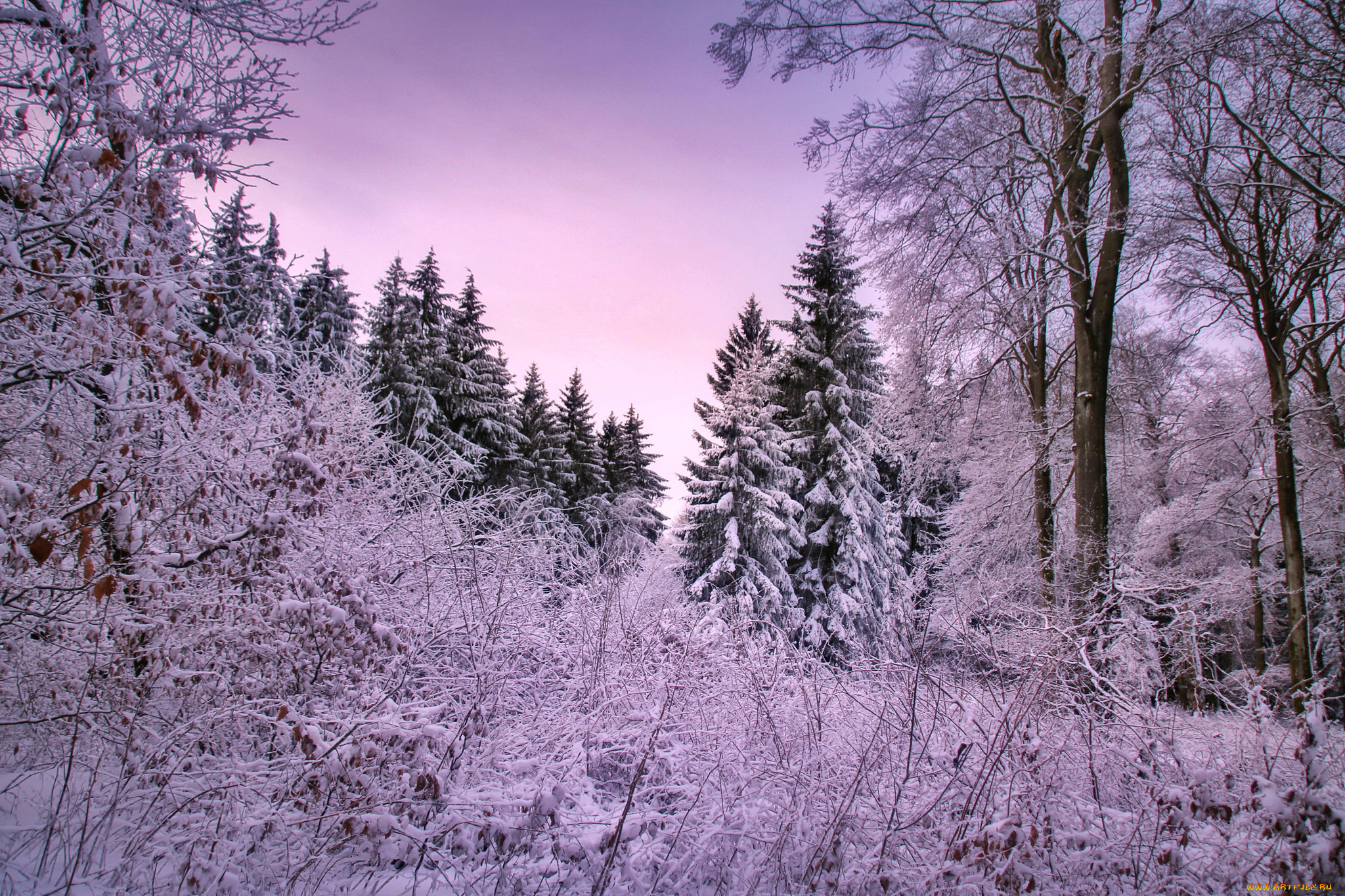 природа, зима, снег
