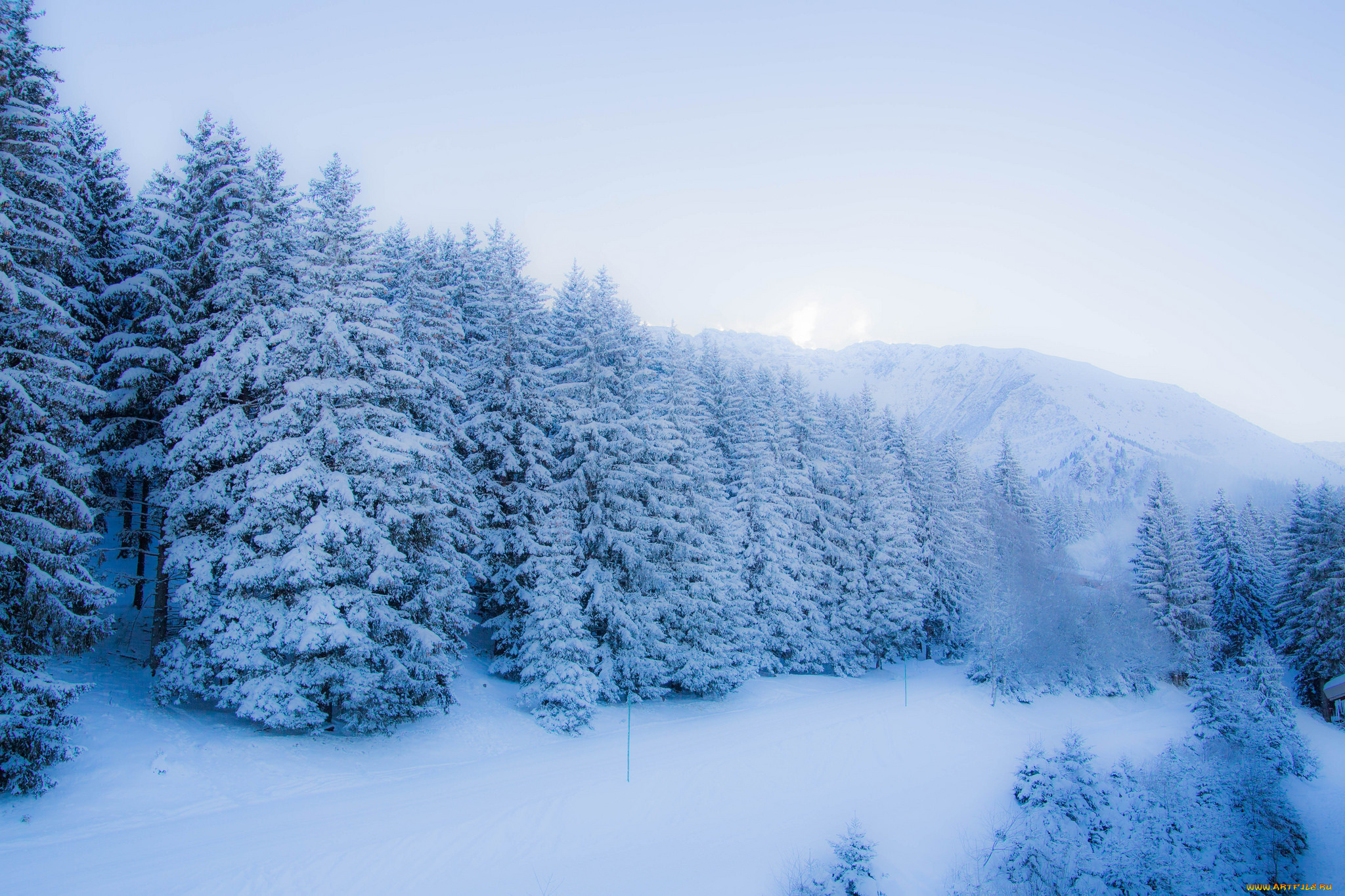 природа, зима, снег