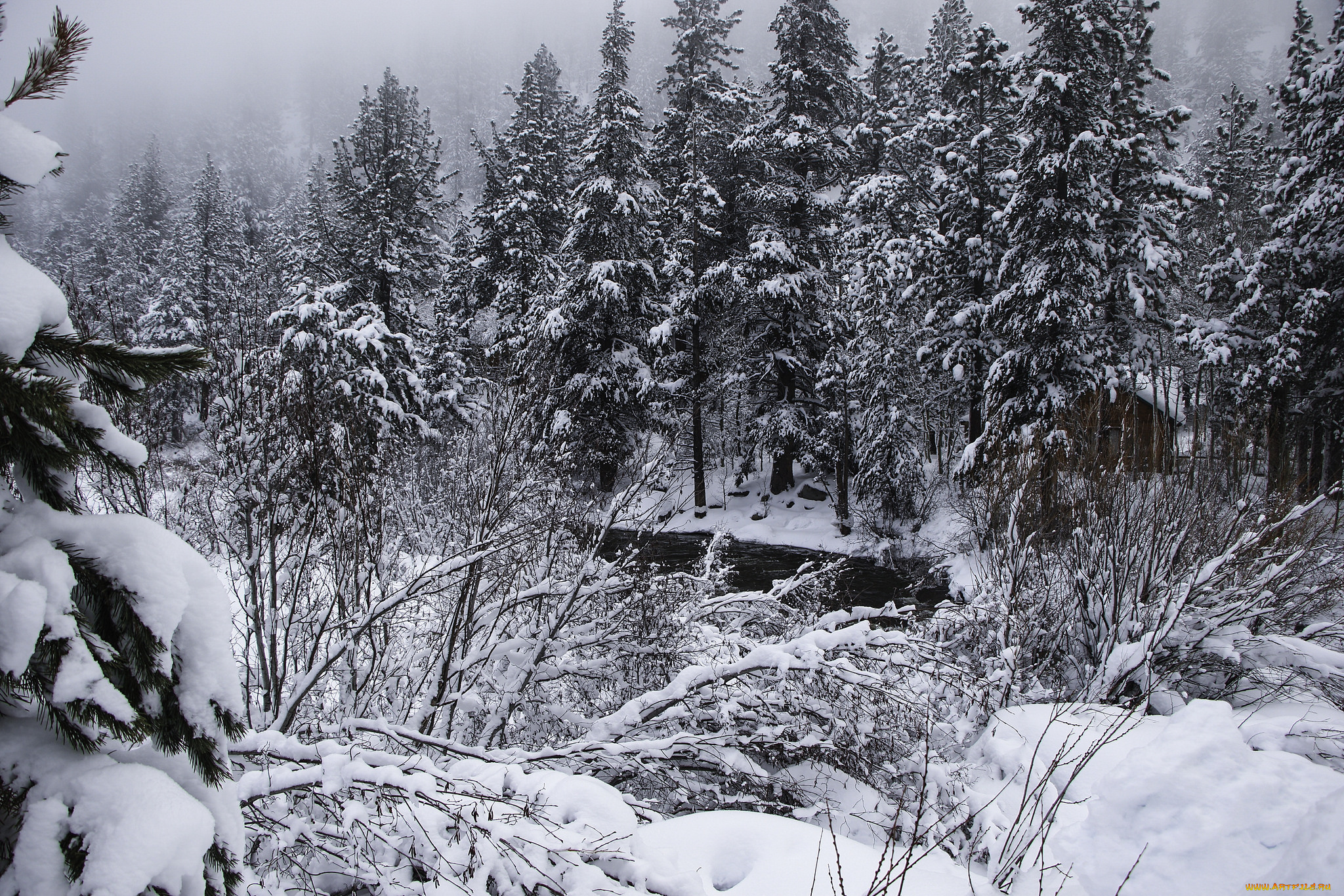 природа, зима, снег