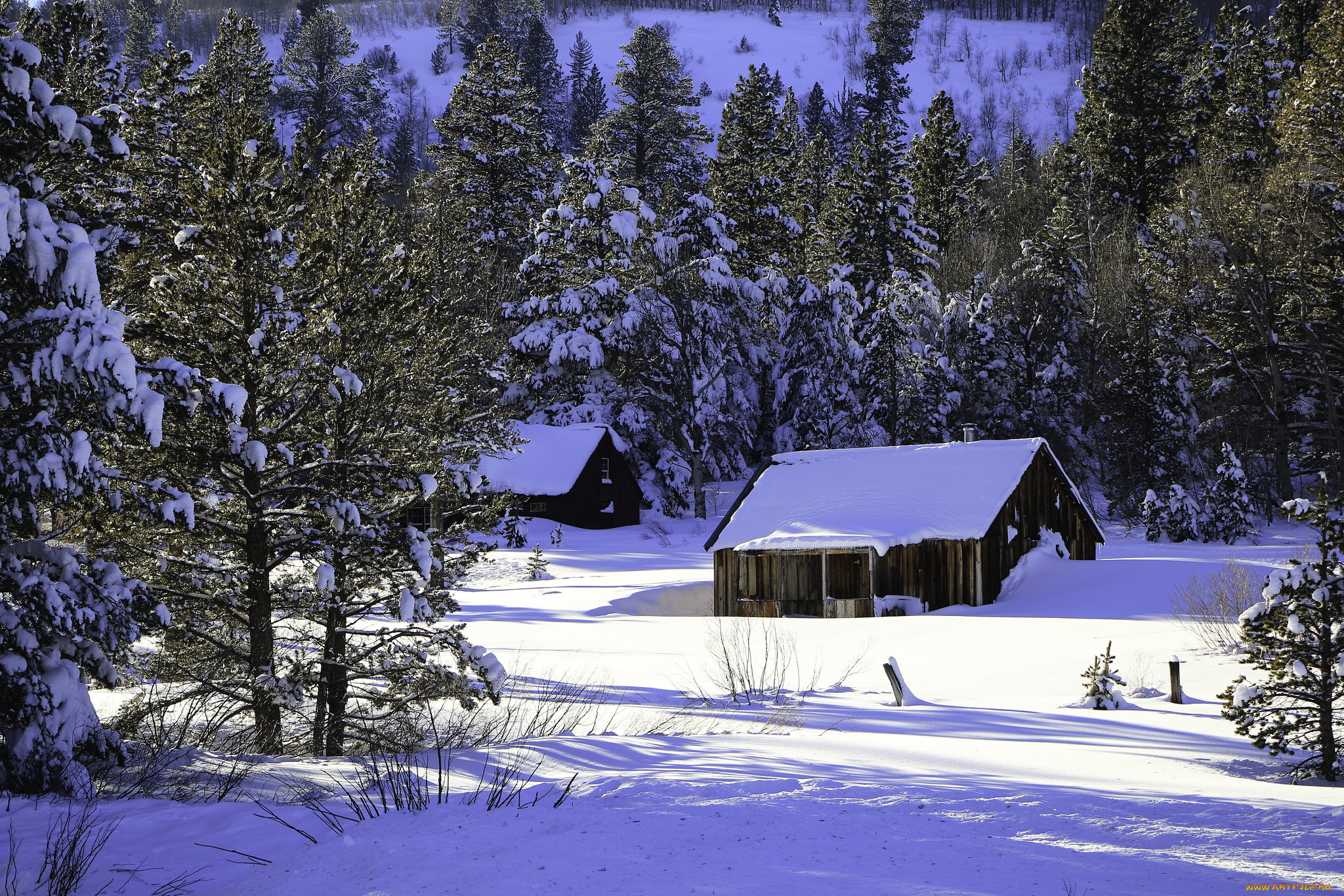 природа, зима, снег