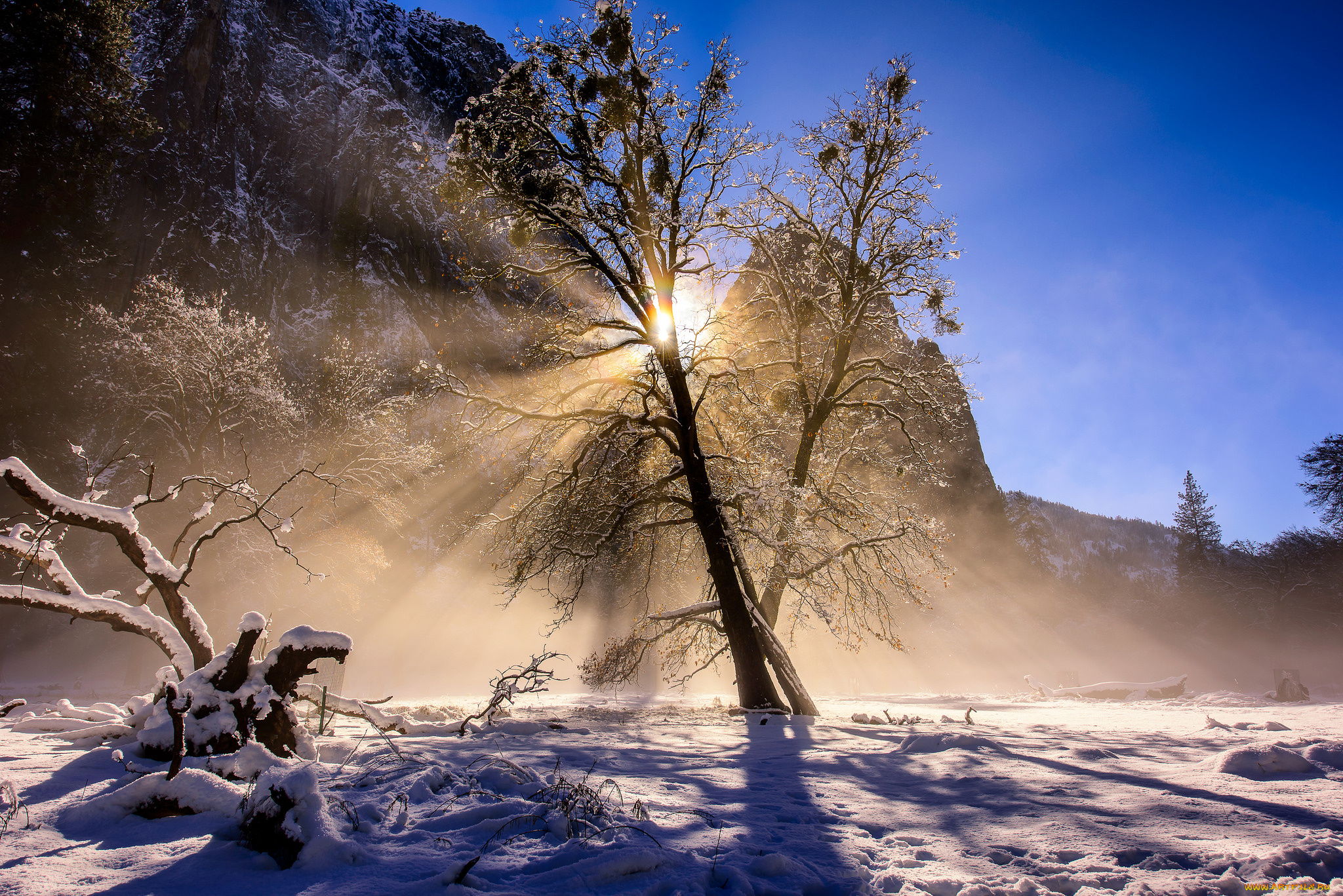 природа, зима, снег