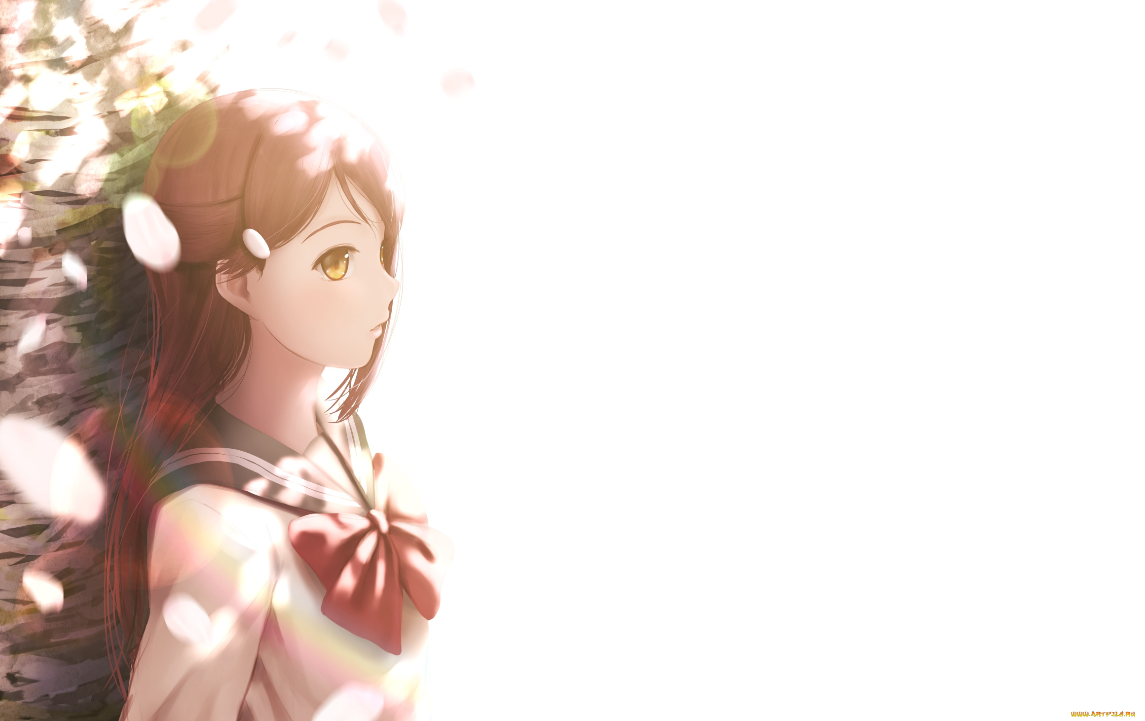 аниме, love, live, , school, idol, project, sakurauchi, riko