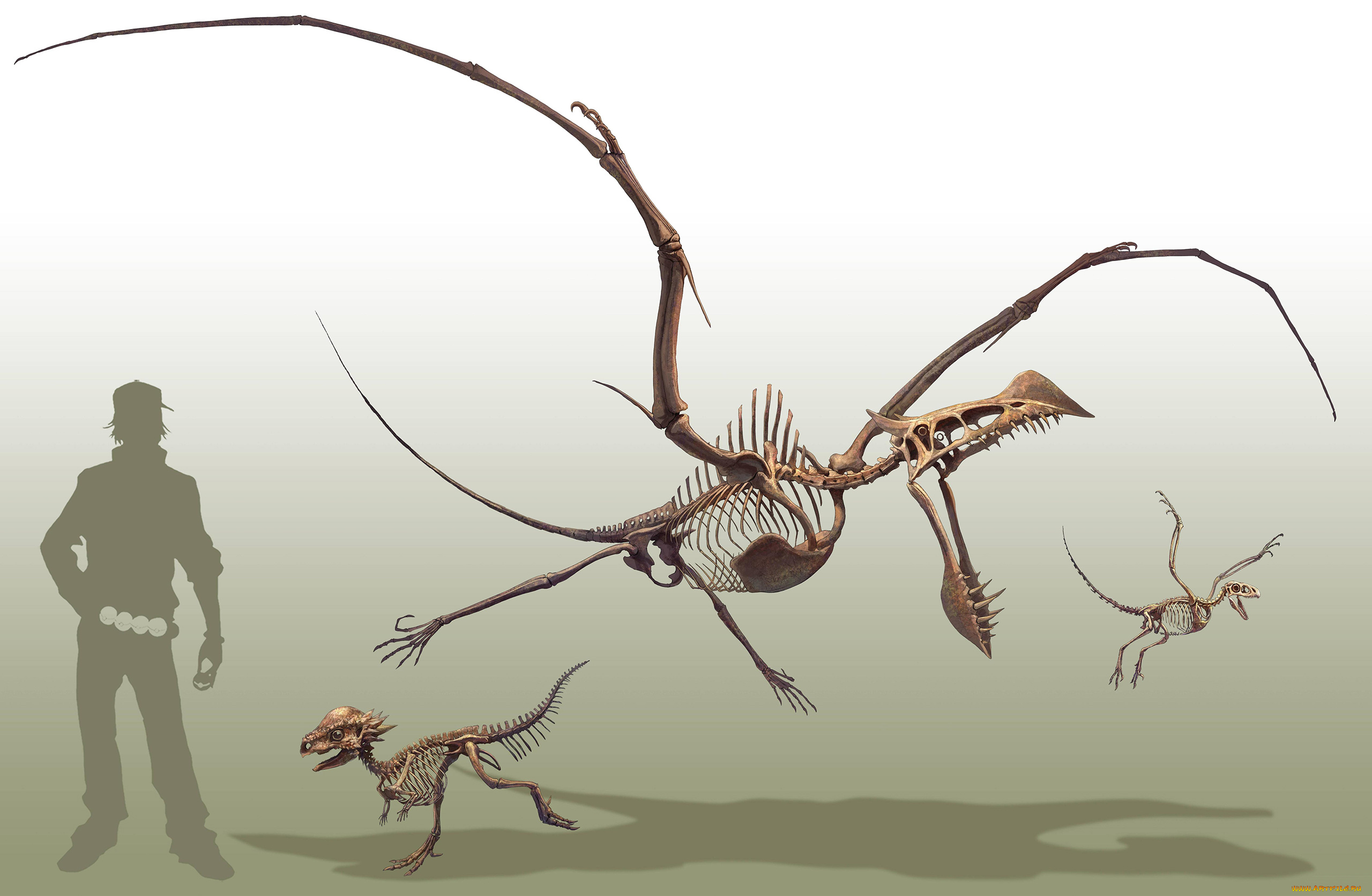 аниме, pokemon, чудище, существо, чудовище, монстр