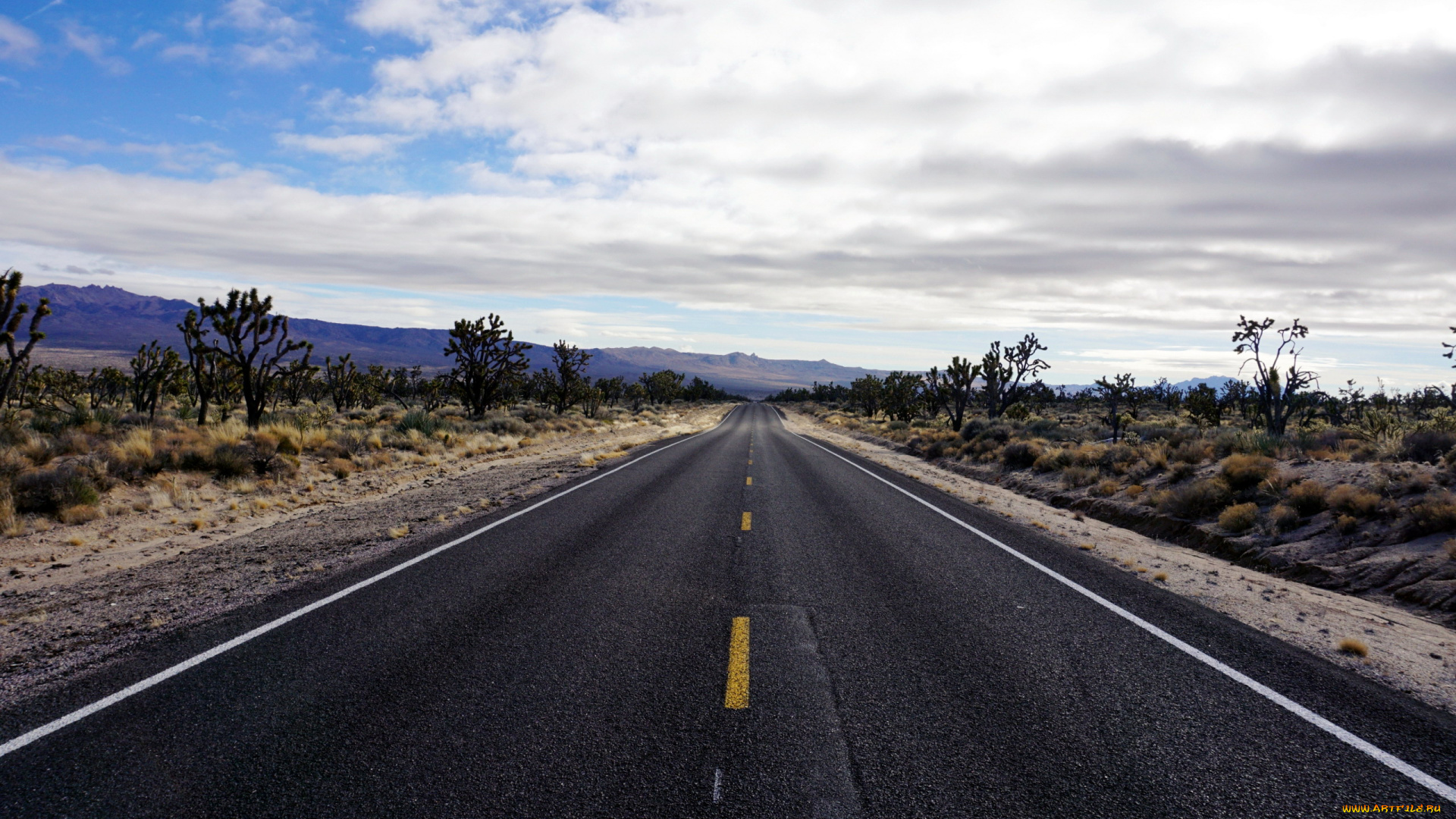 природа, дороги, шоссе