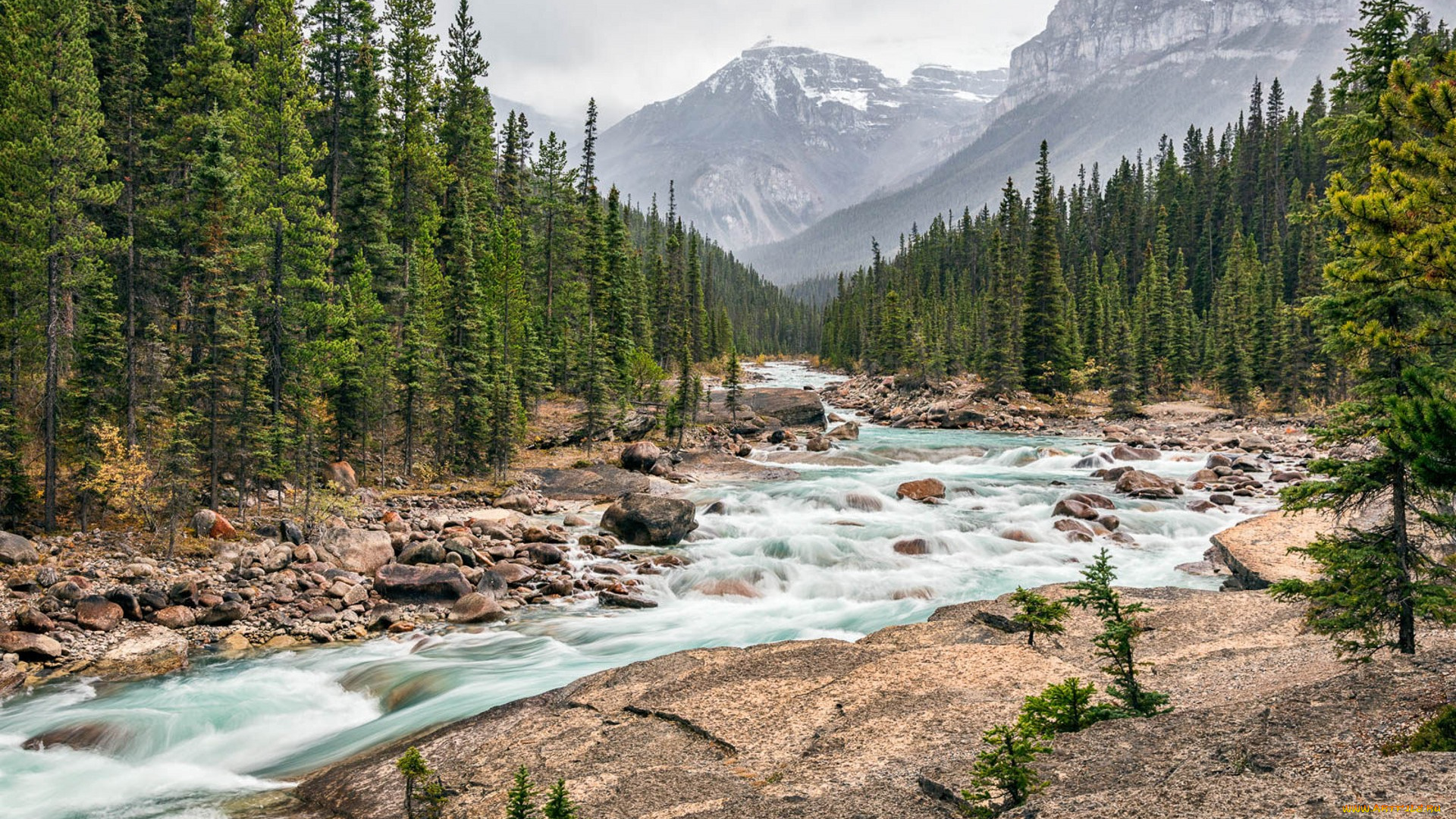 природа, реки, озера, простор