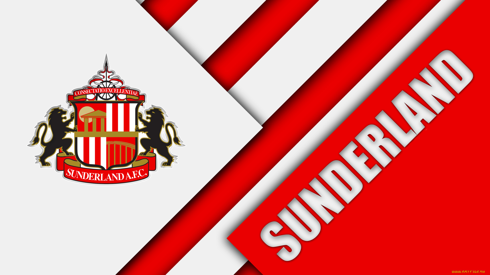 спорт, эмблемы, клубов, полосы, цвета, линии, фон, логотип