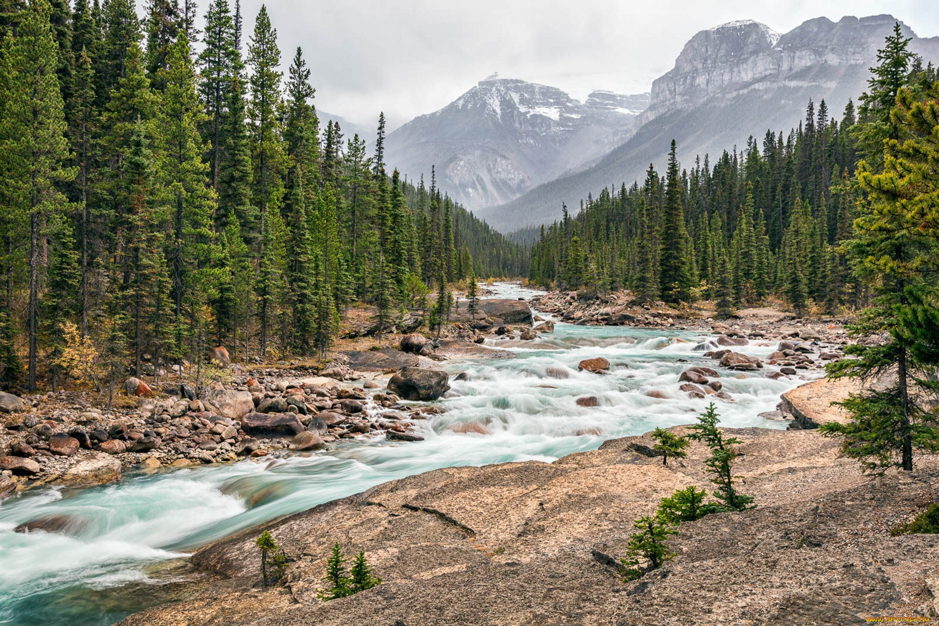 природа, реки, озера, простор