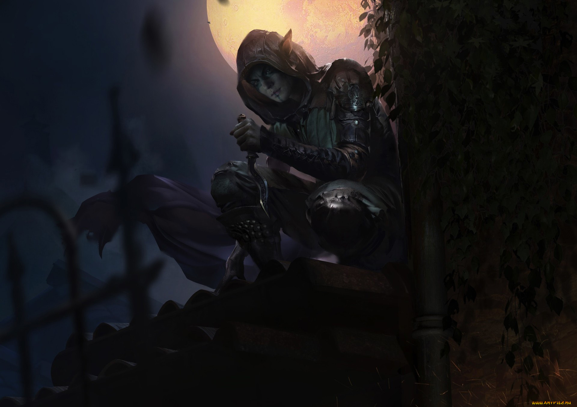 видео, игры, the, elder, scrolls, , legends, персонаж