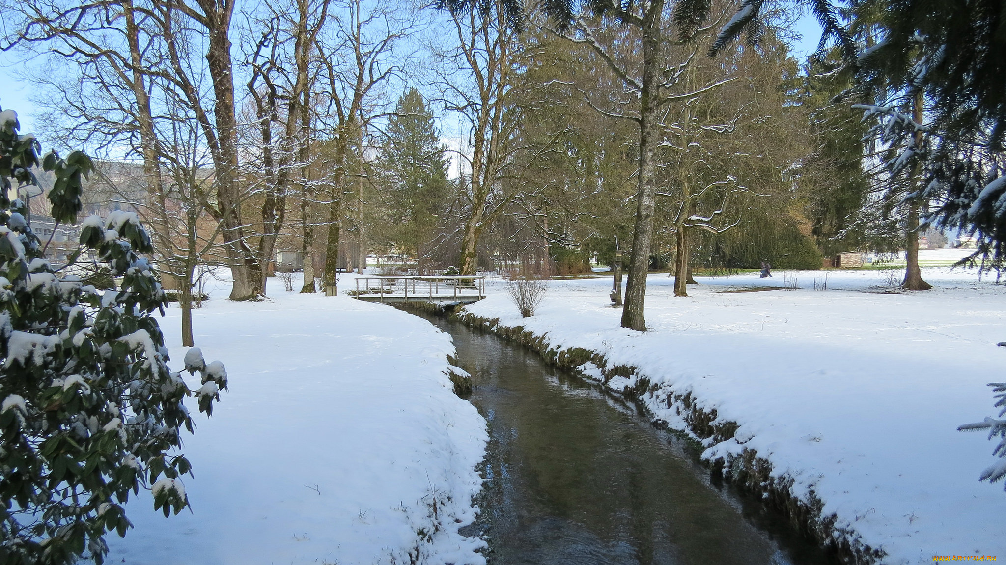 природа, реки, озера, деревья, река