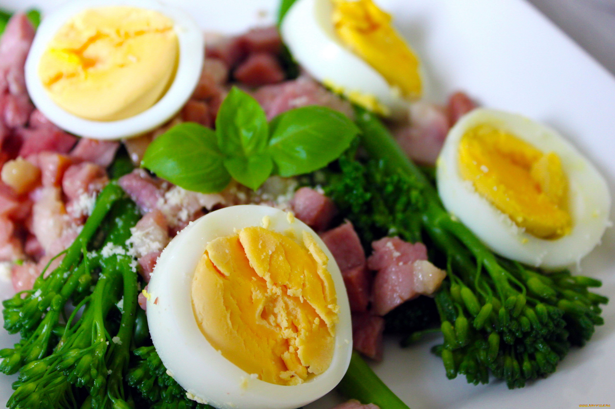 еда, Яичные, блюда, яйца, ветчина