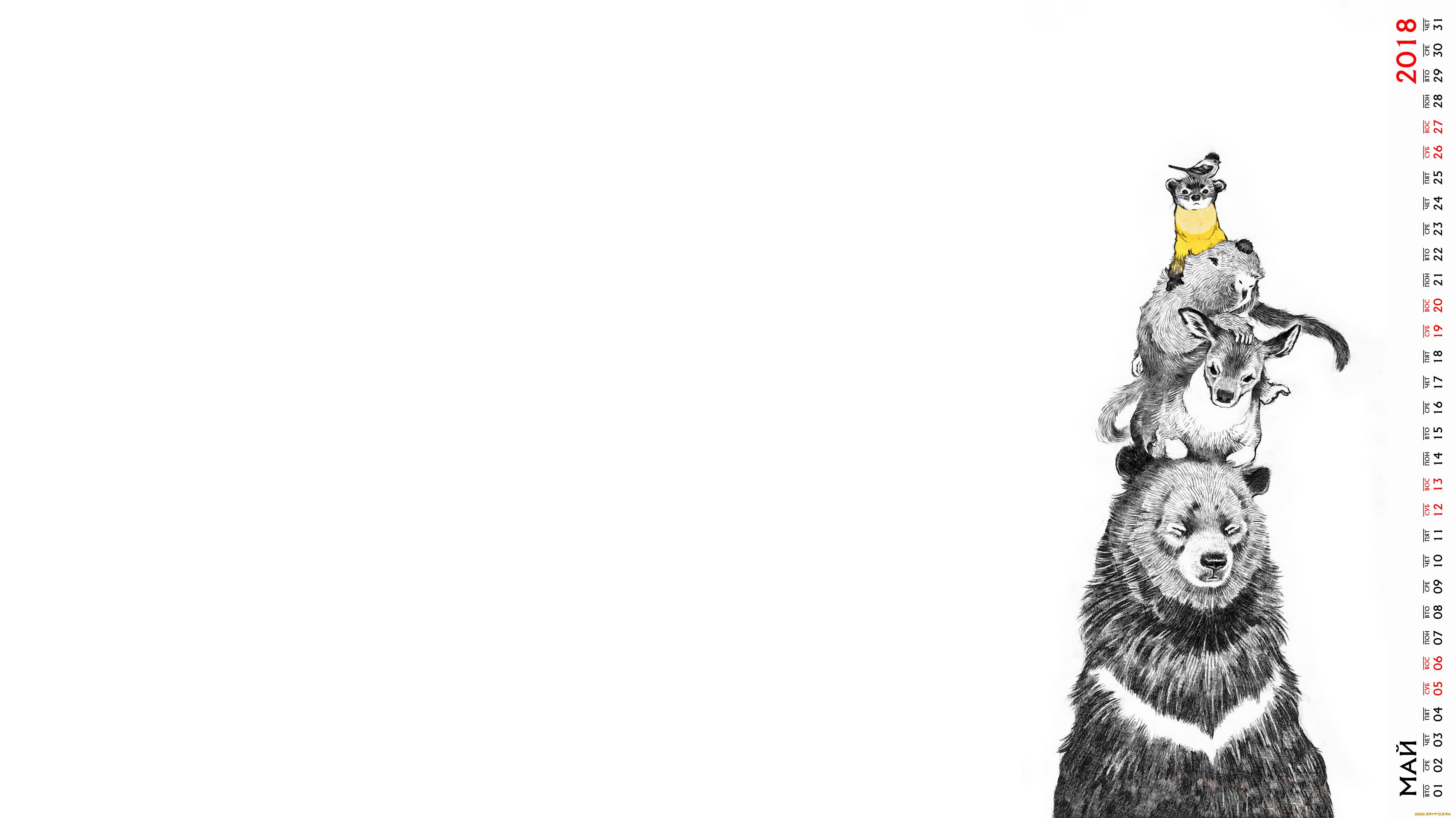 календари, рисованные, , векторная, графика, животное, медведь