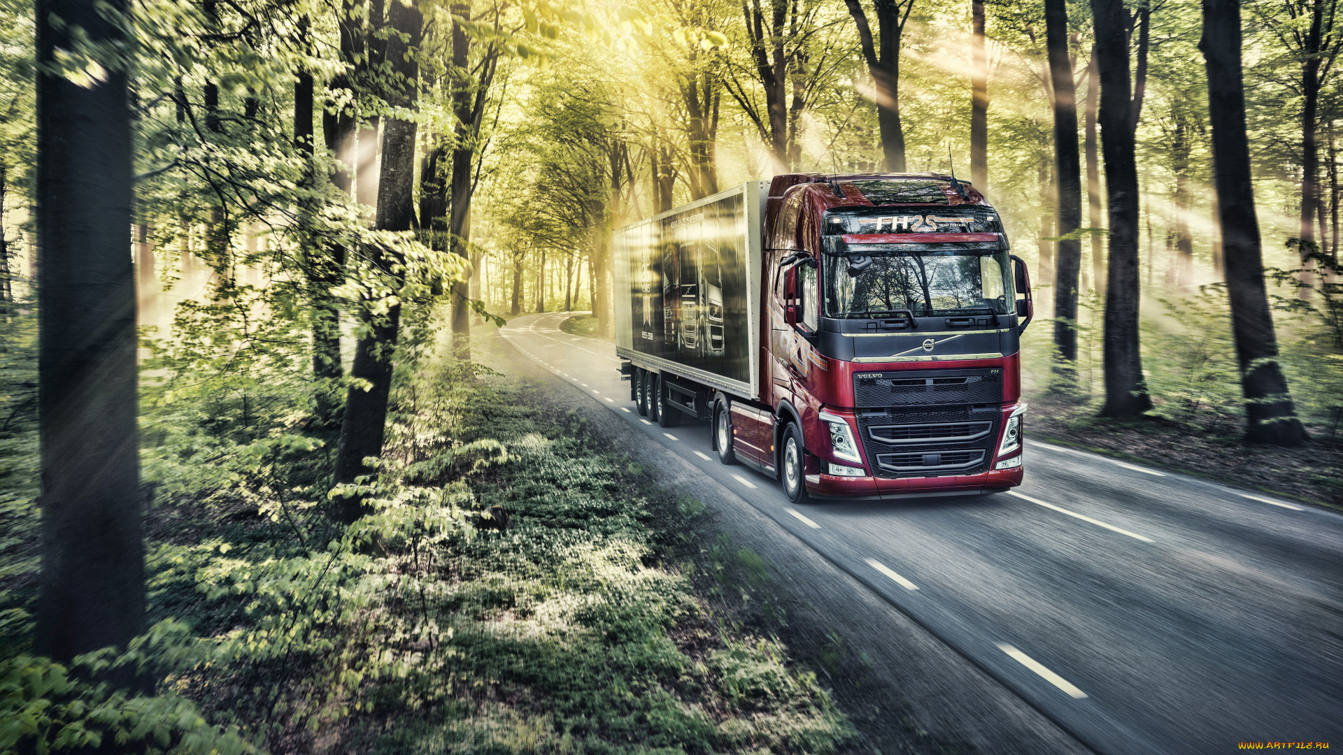 2019, volvo, fh, автомобили, volvo, trucks, вольво, грузовики, 2019, volvo, fh, lkw, hdr, лесная, дорога