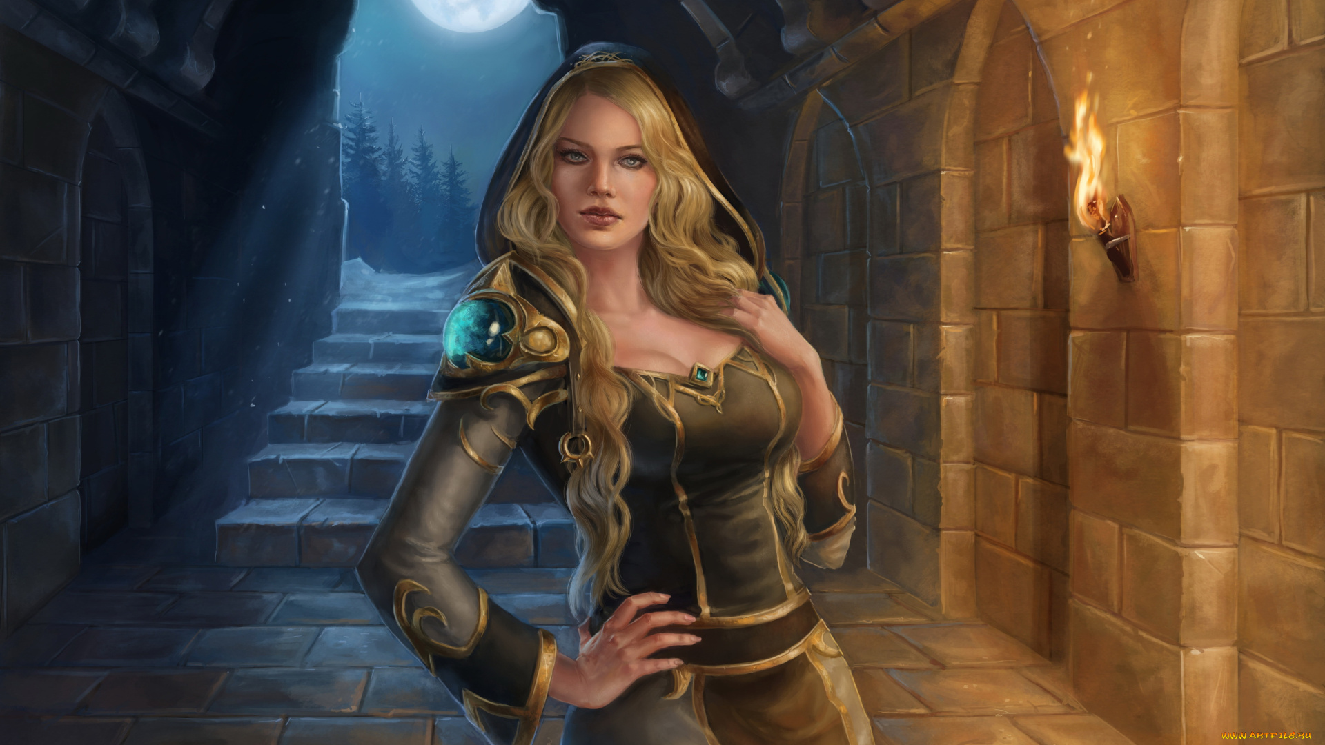 фэнтези, девушки, девушка, фон, взгляд, факел