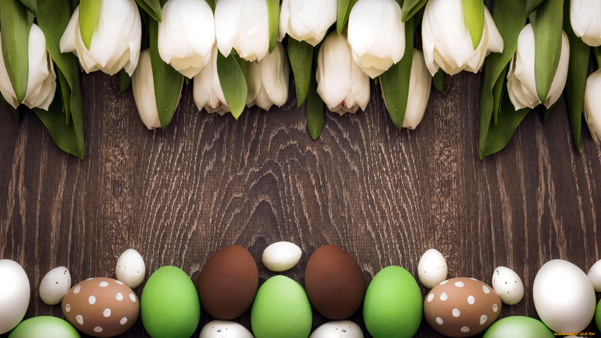 праздничные, пасха, тюльпаны