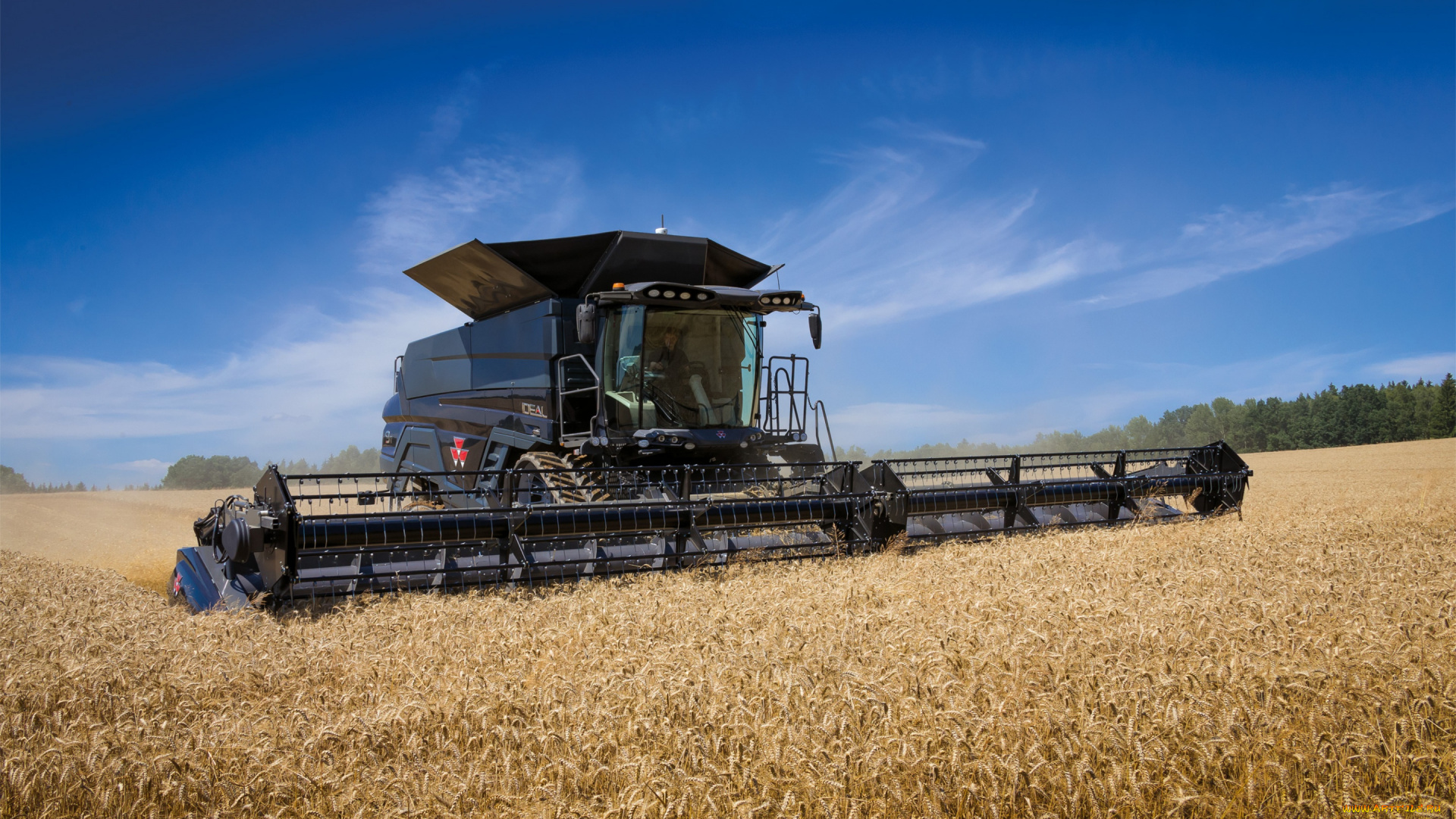 техника, комбайны, massey, ferguson