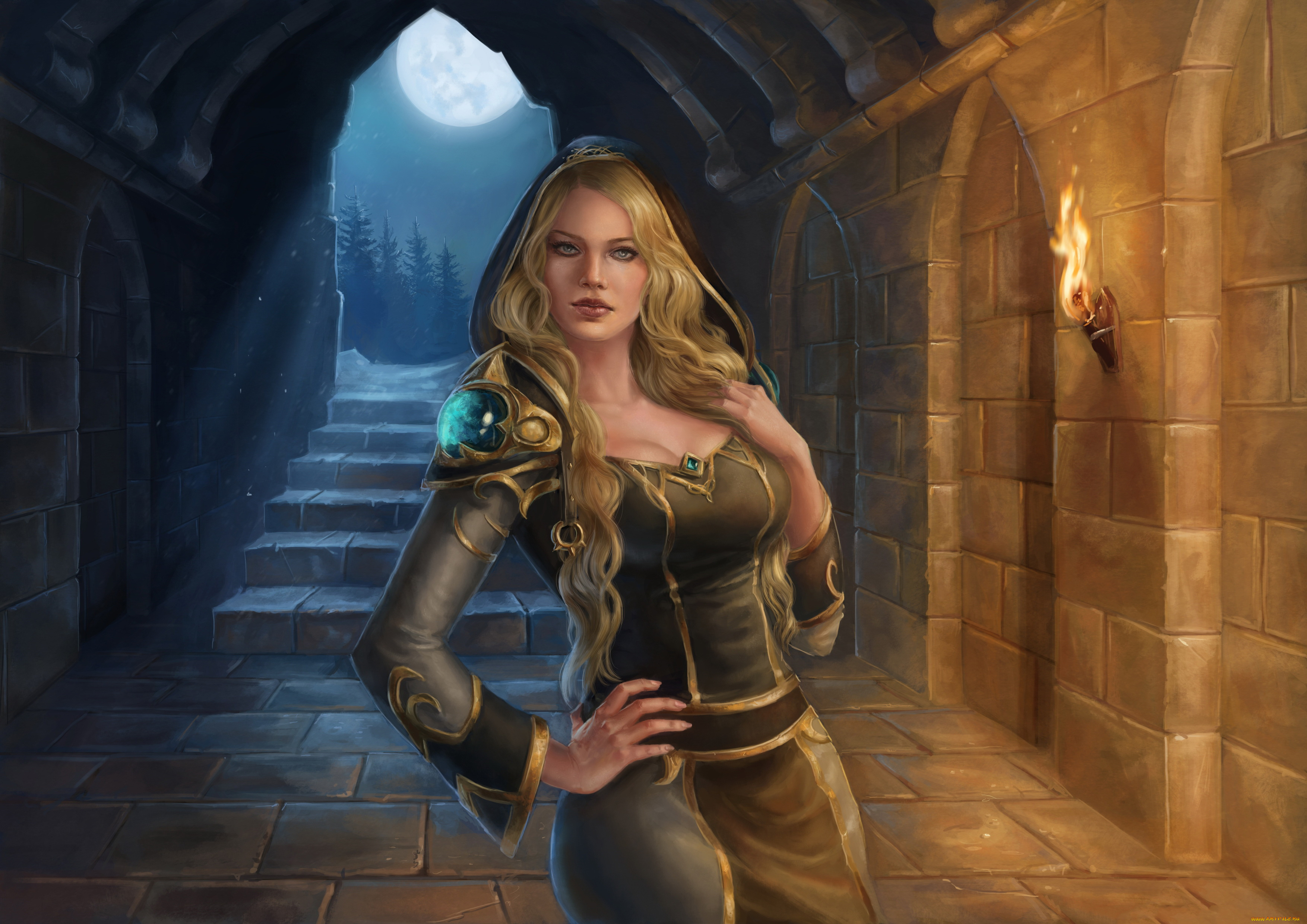 фэнтези, девушки, девушка, фон, взгляд, факел