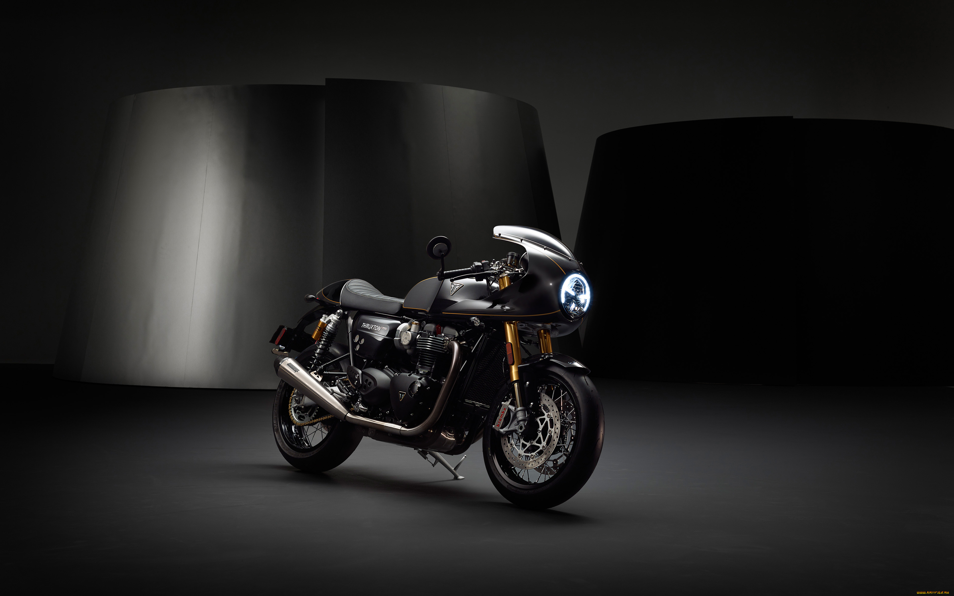 2019, triumph, thruxton, tfc, мотоциклы, triumph, 2019, thruxton, tfс, супербайк, триумф, черный